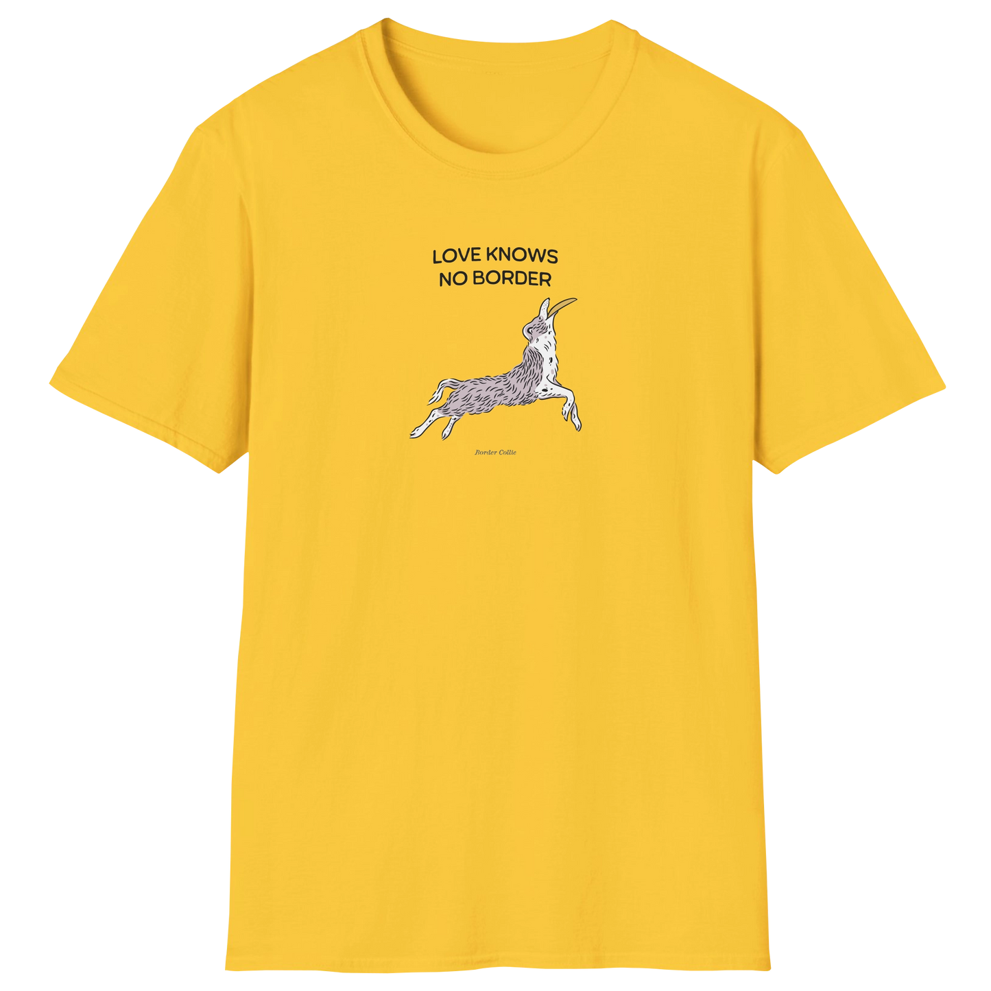 flatlay-fido-border_collie-t_shirt-daisy