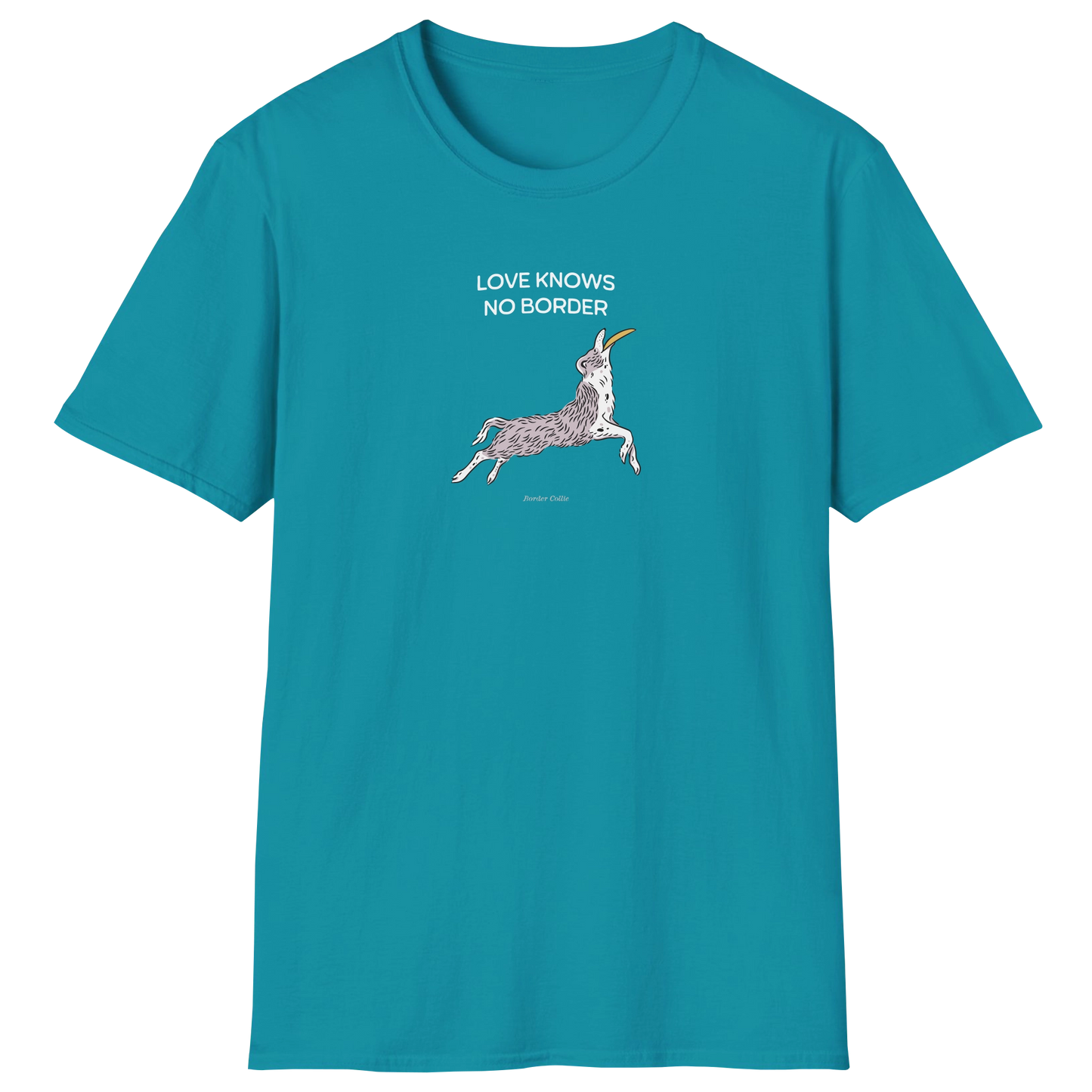 flatlay-fido-border_collie-t_shirt-tropical_blue
