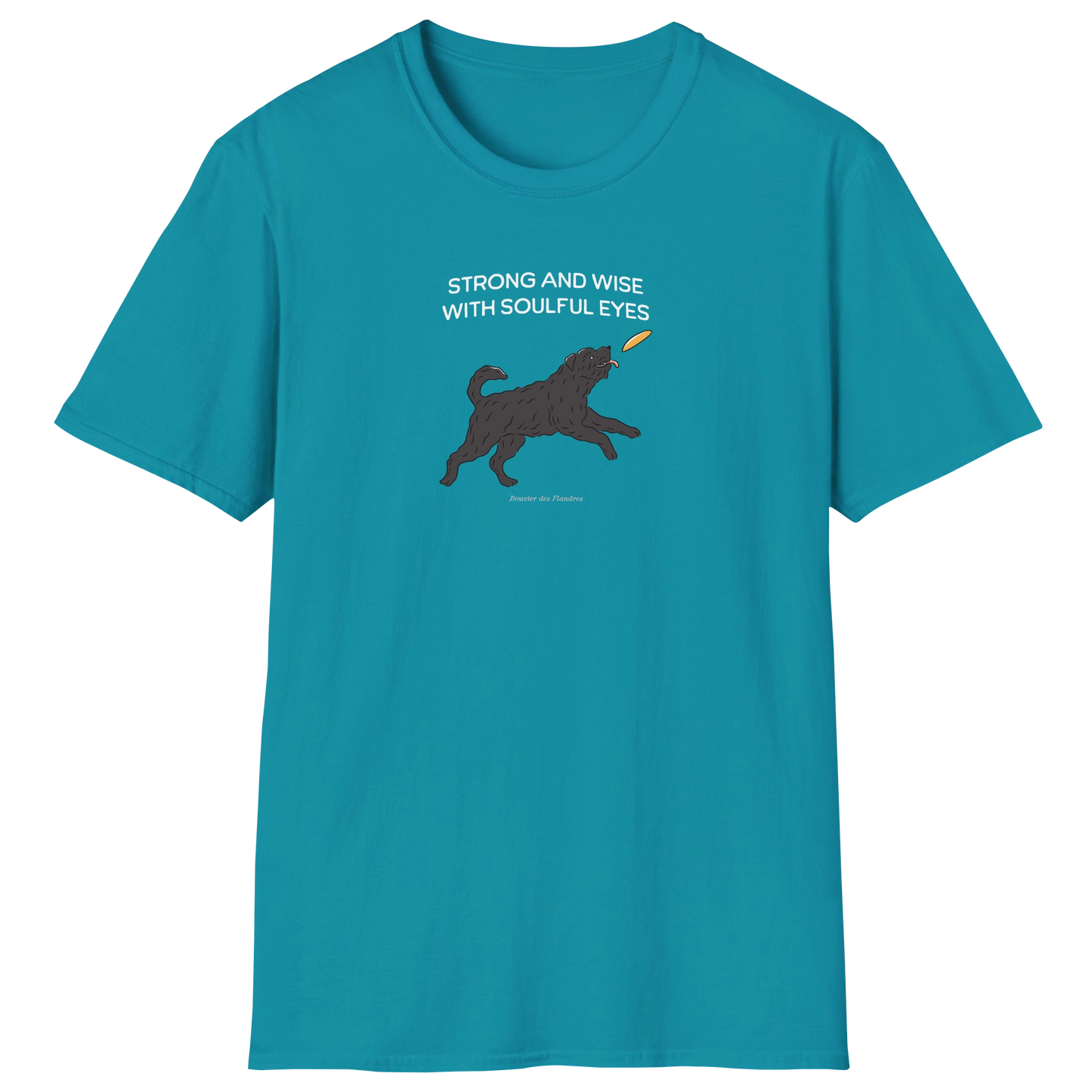 flatlay-fido-bouvier_des_flandres-t_shirt-tropical_blue