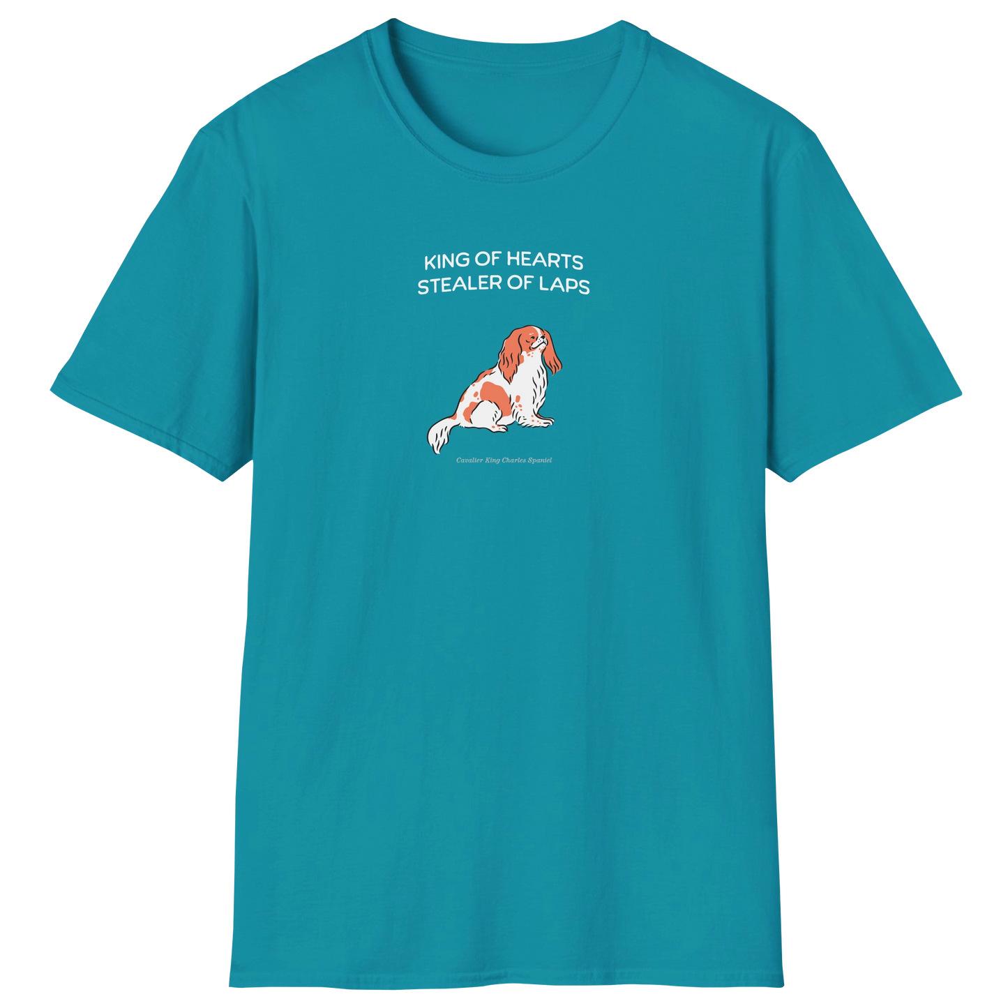flatlay-fido-cavalier_king_charles_spaniel-t_shirt-tropical_blue