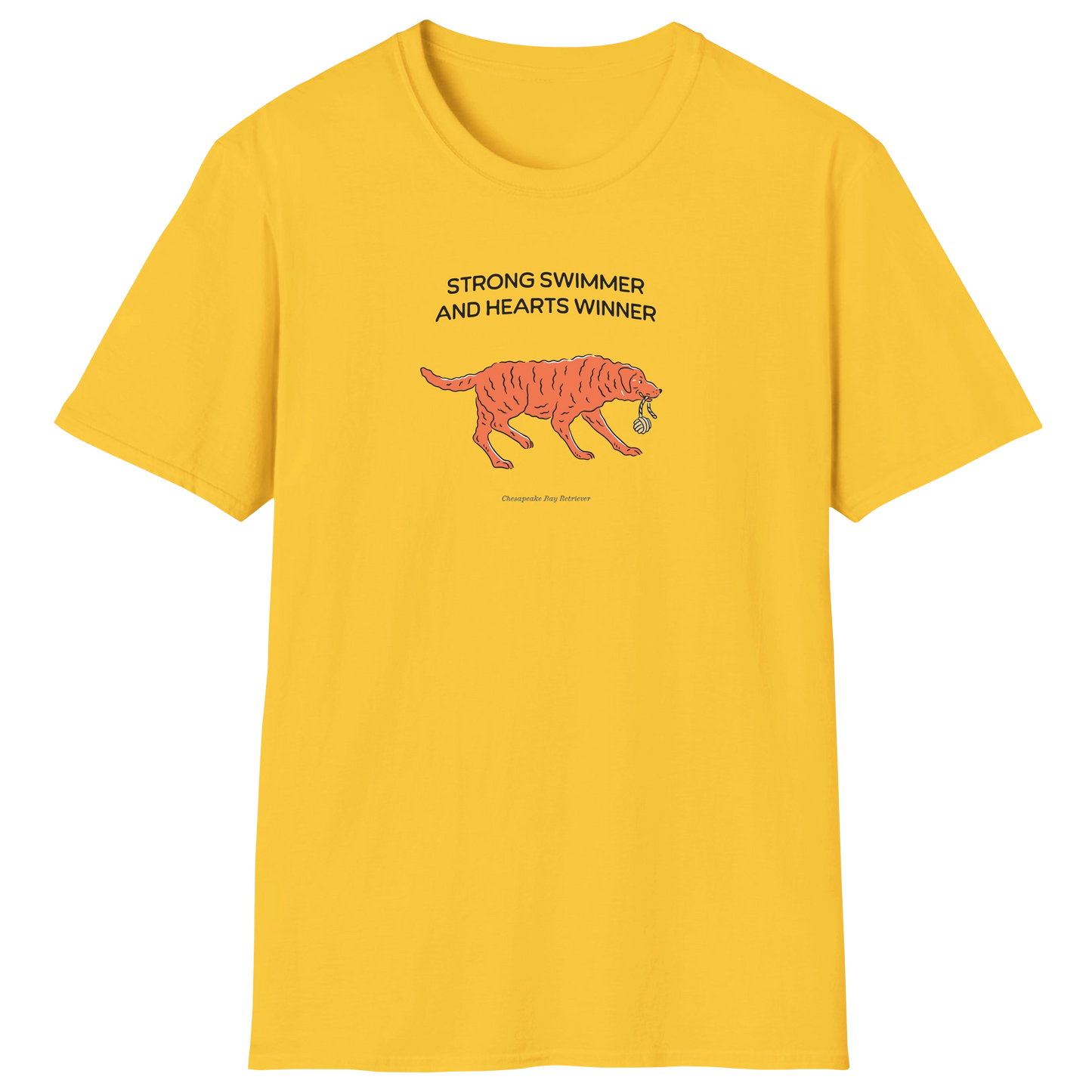 flatlay-fido-chesapeake_bay_retriever-t_shirt-daisy