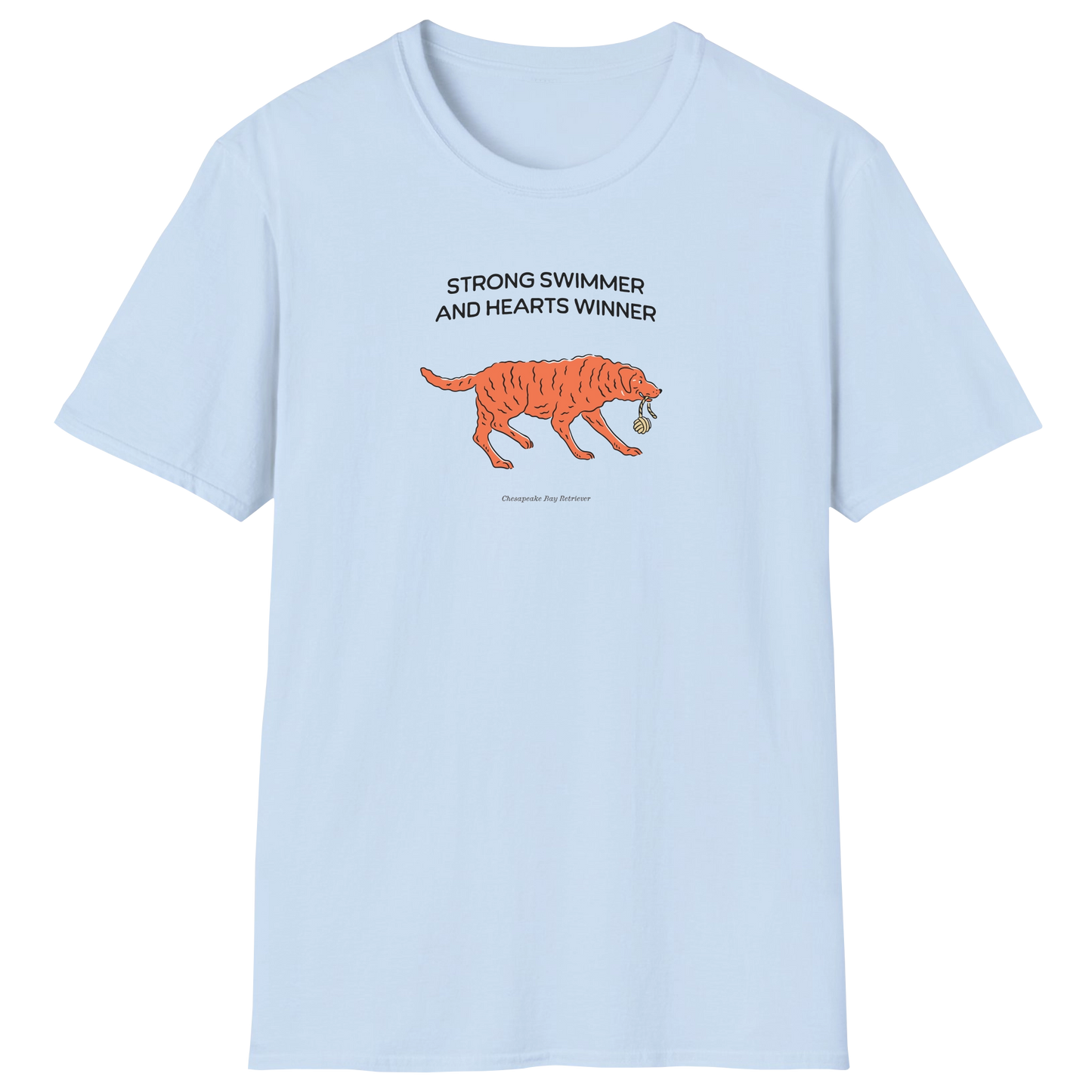 flatlay-fido-chesapeake_bay_retriever-t_shirt-light_blue