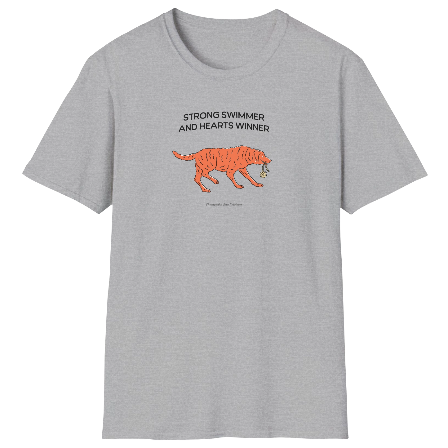 flatlay-fido-chesapeake_bay_retriever-t_shirt-sport_grey