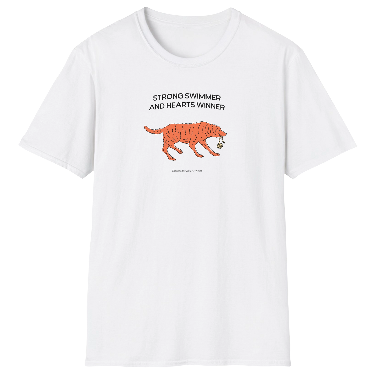 flatlay-fido-chesapeake_bay_retriever-t_shirt-white