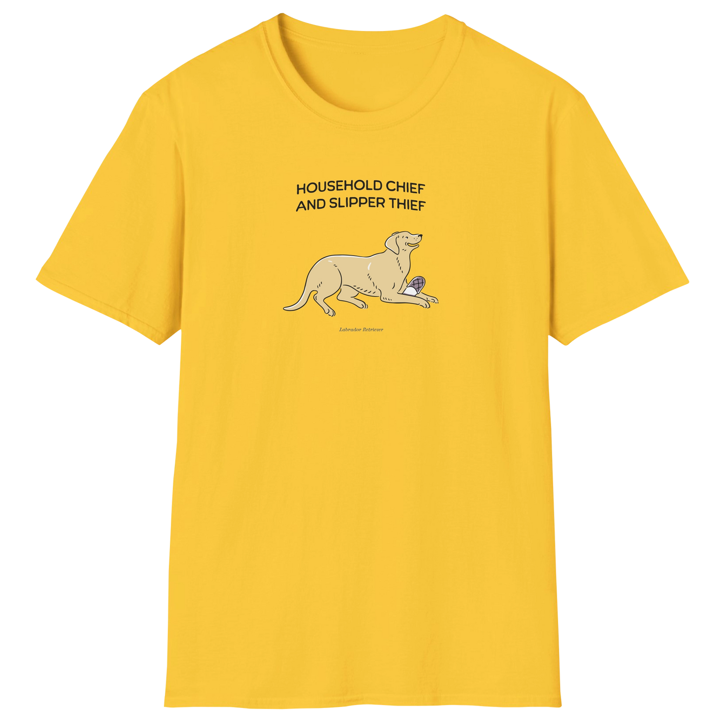 flatlay-fido-labrador_retriever-t_shirt-daisy