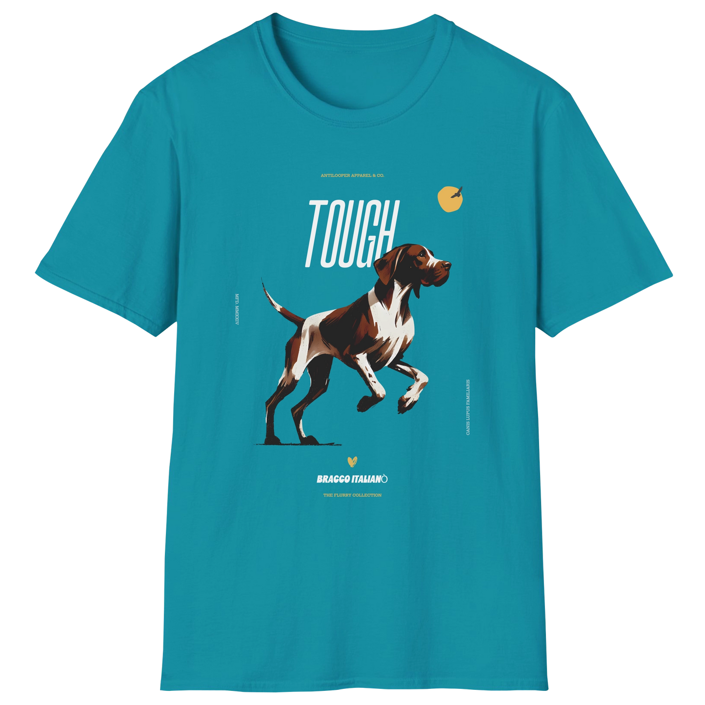 flatlay-flurry-bracco_italiano-t_shirt-tropical_blue