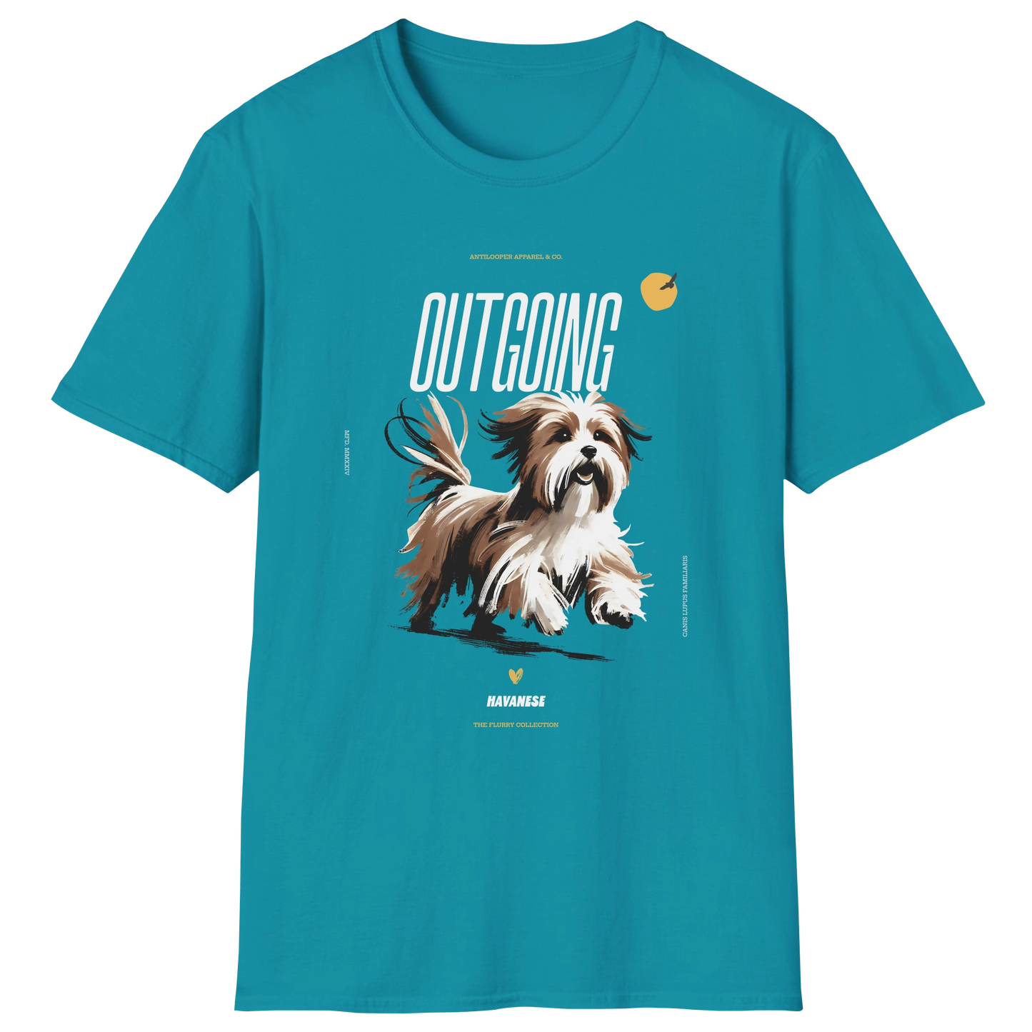 flatlay-flurry-havanese-t_shirt-tropical_blue