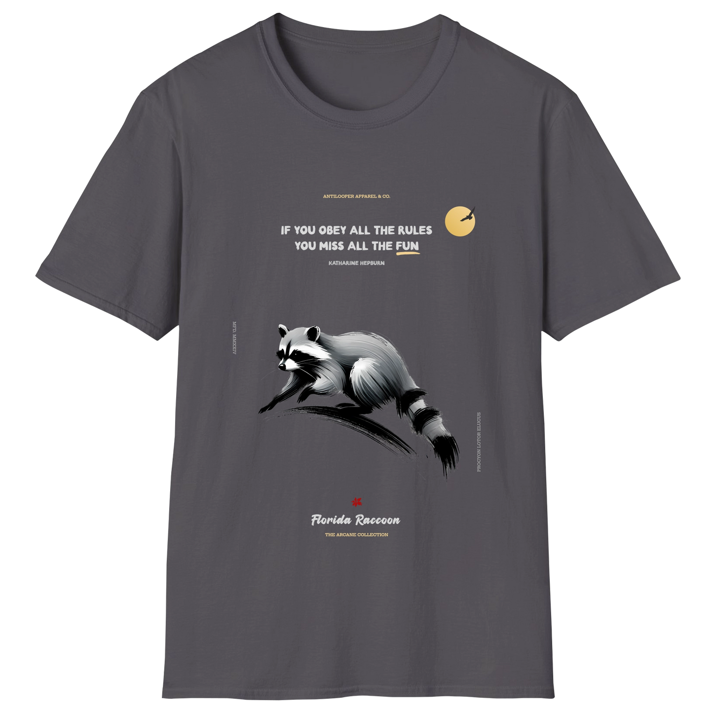 flatlay-arcane-florida_raccoon-charcoal