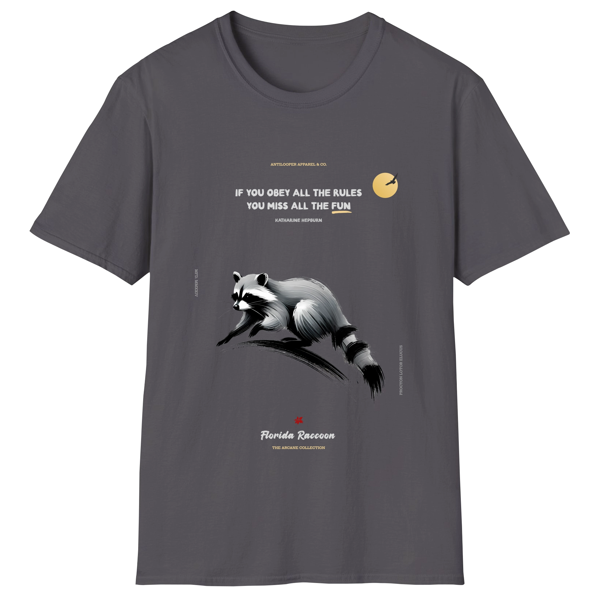 flatlay-arcane-florida_raccoon-charcoal