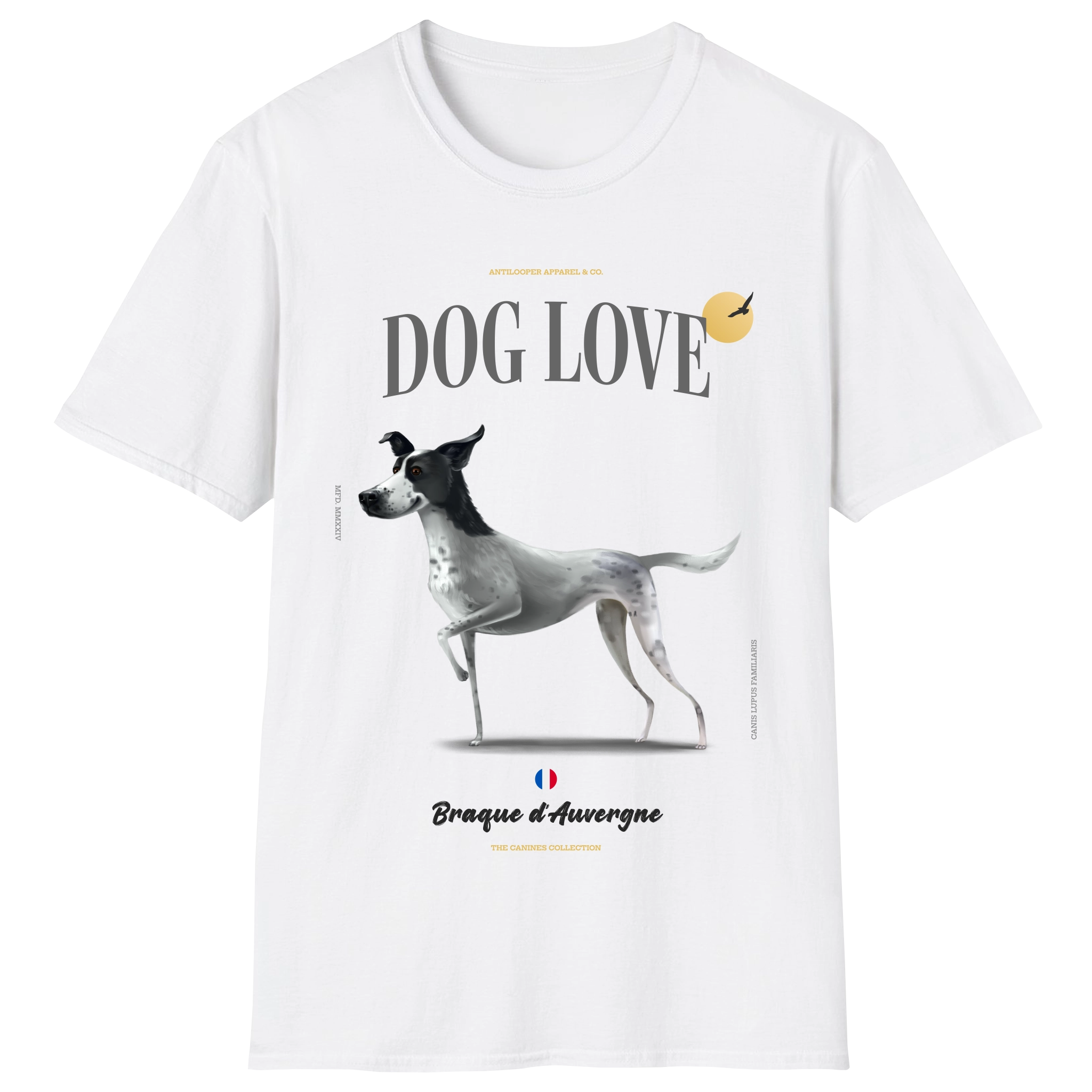 flatlay-canines-auvergne_pointer-white_black-white