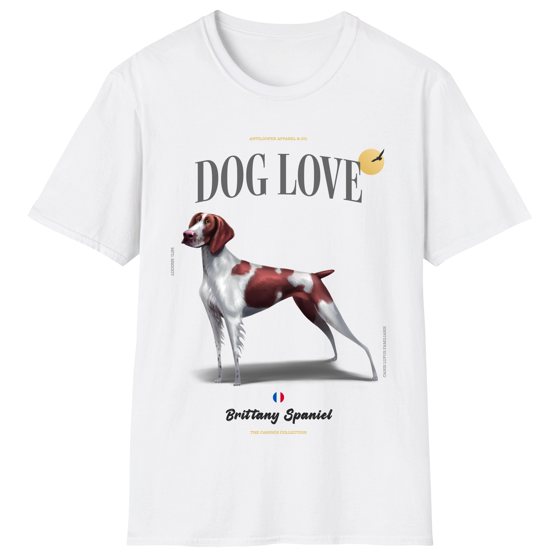 flatlay-canines-brittany_spaniel-liver_white-white