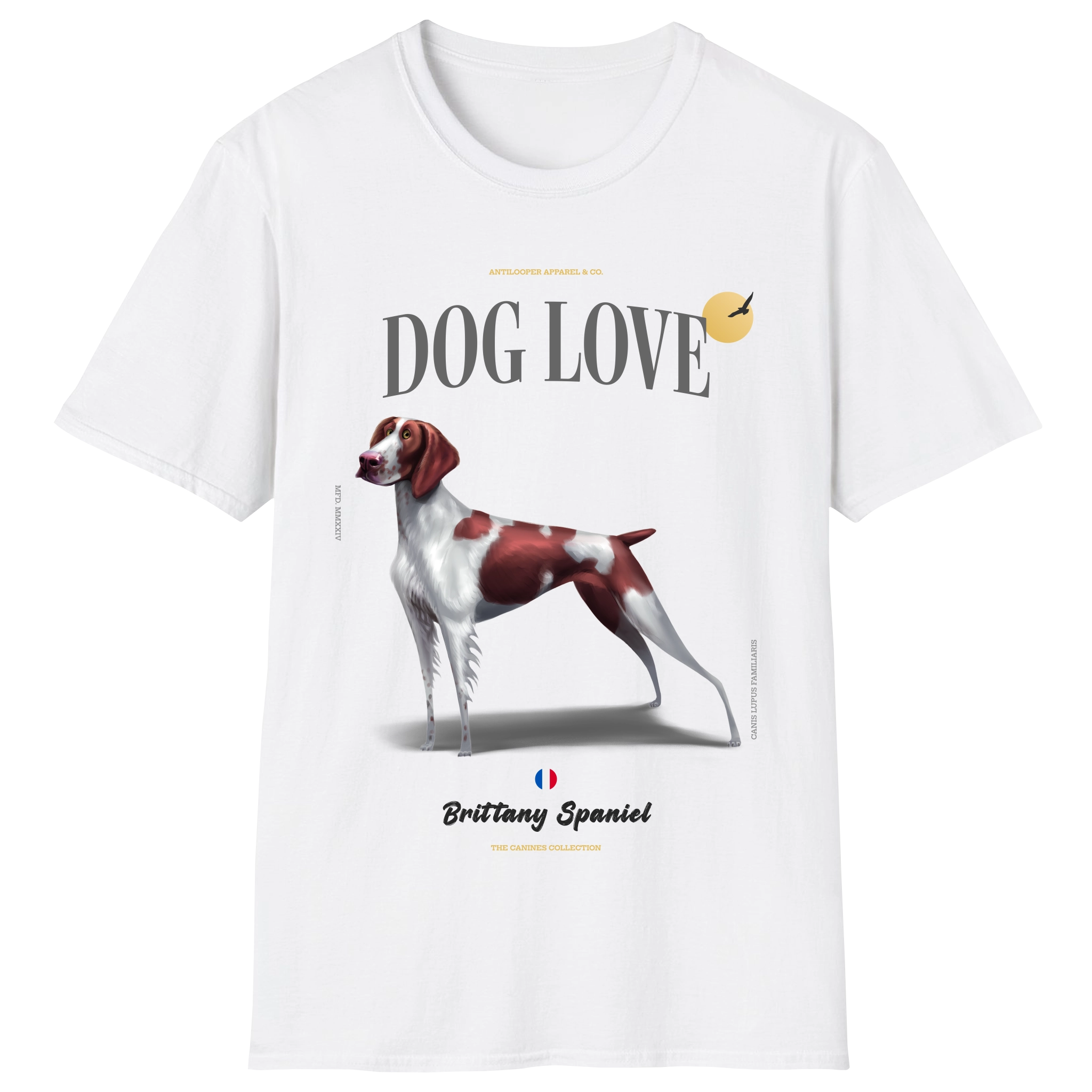 flatlay-canines-brittany_spaniel-liver_white-white