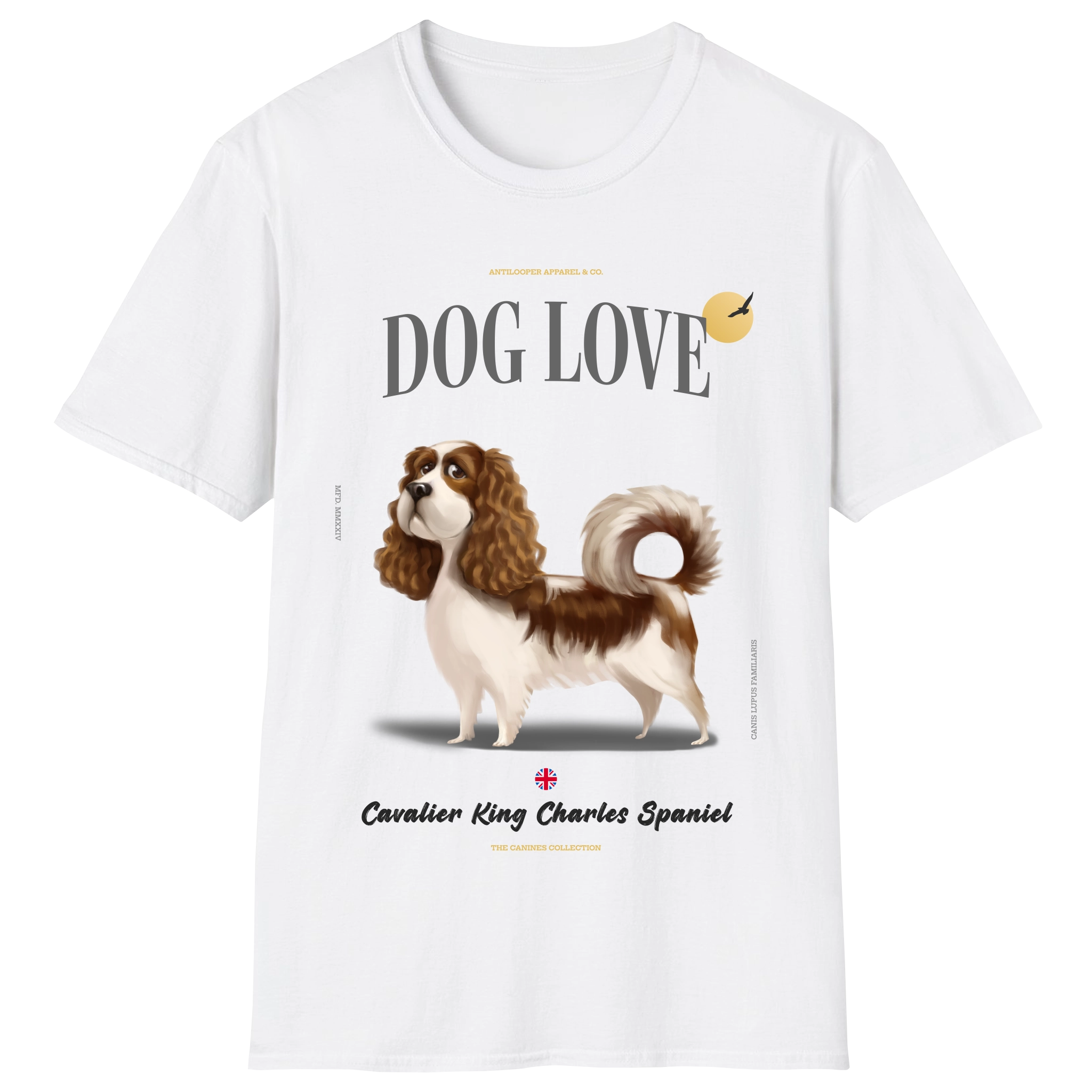 flatlay-canines-cavalier_king_charles_spaniel-blenheim-white