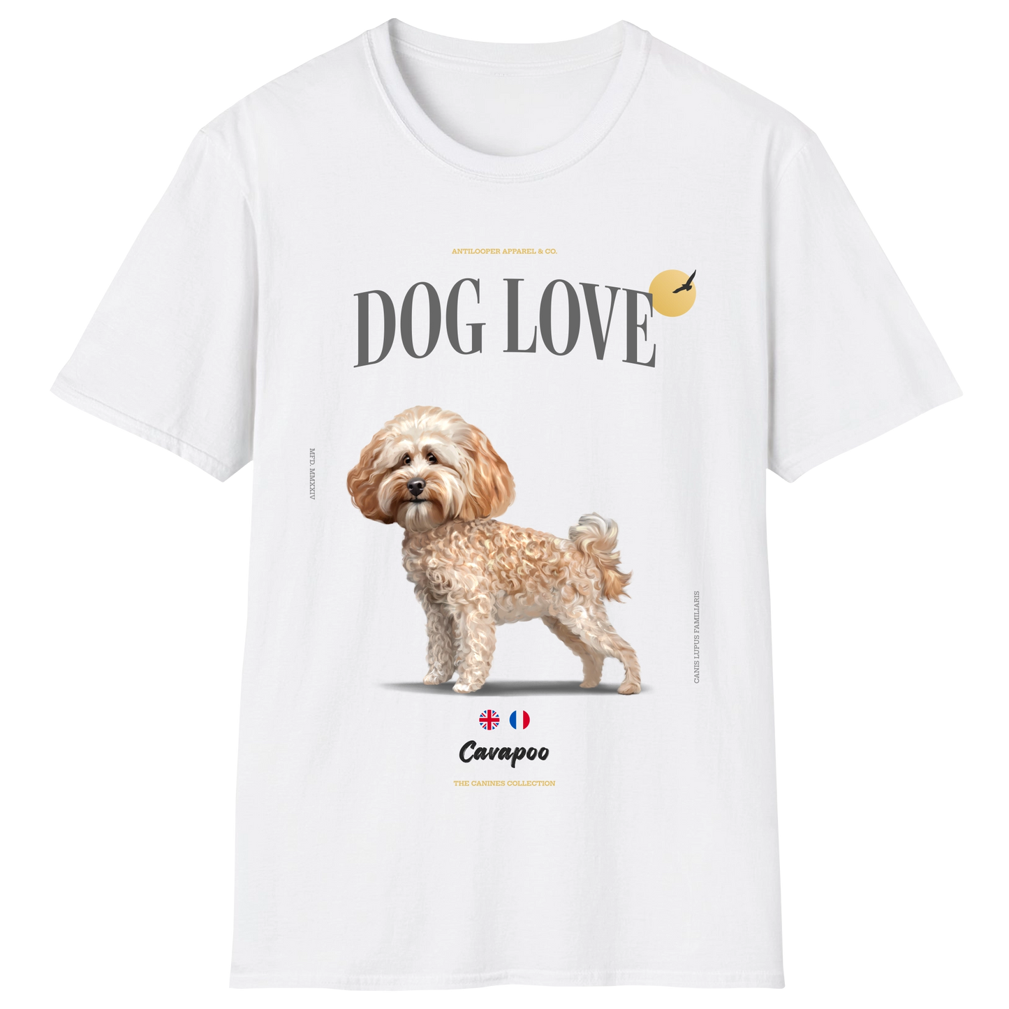 flatlay-canines-cavapoo-cream-white