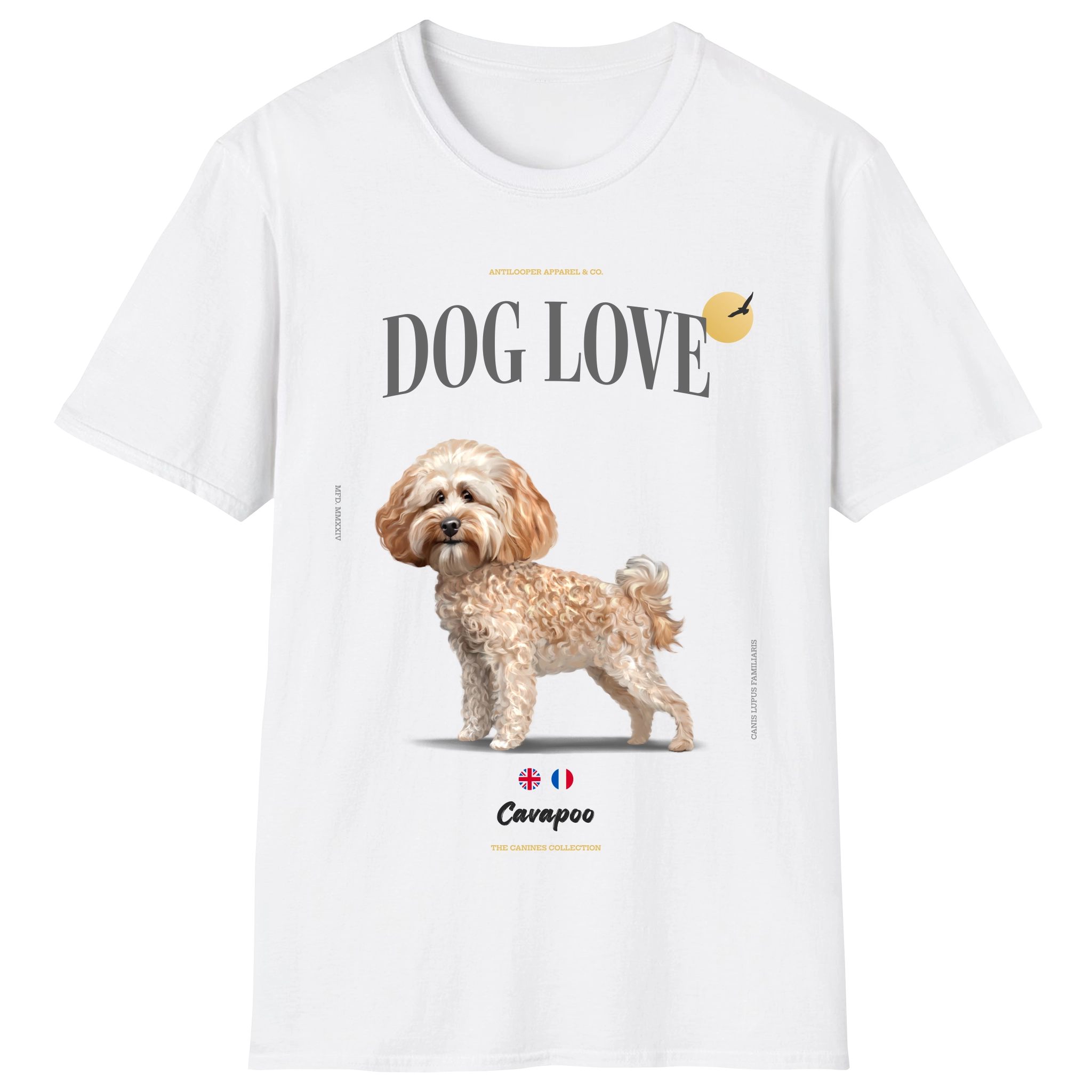 flatlay-canines-cavapoo-cream-white