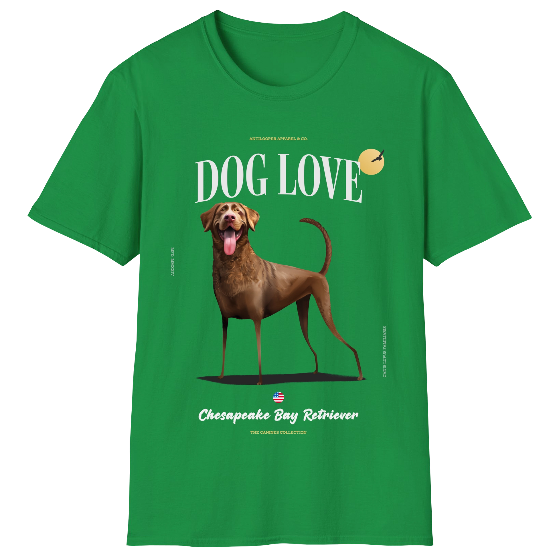 flatlay-canines-chesapeake_bay_retriever-brown-irish_green