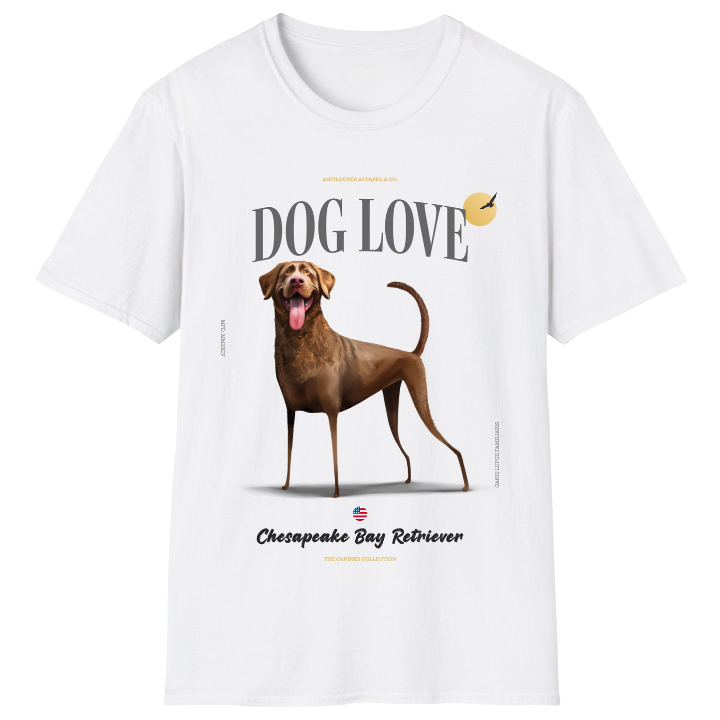 flatlay-canines-chesapeake_bay_retriever-brown-white