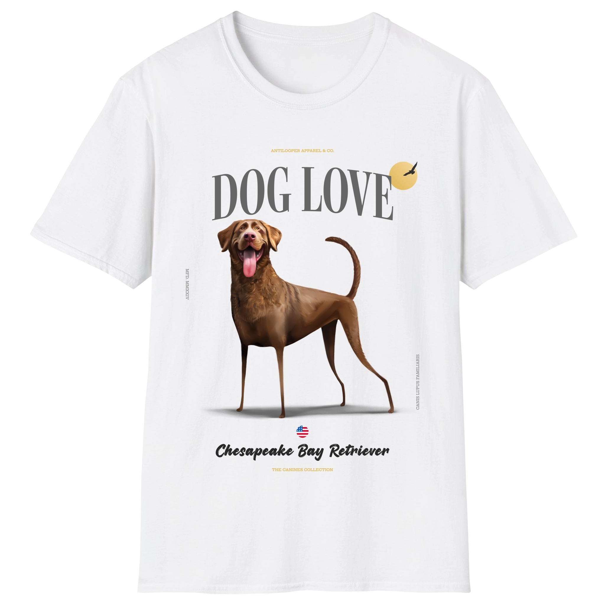 flatlay-canines-chesapeake_bay_retriever-brown-white