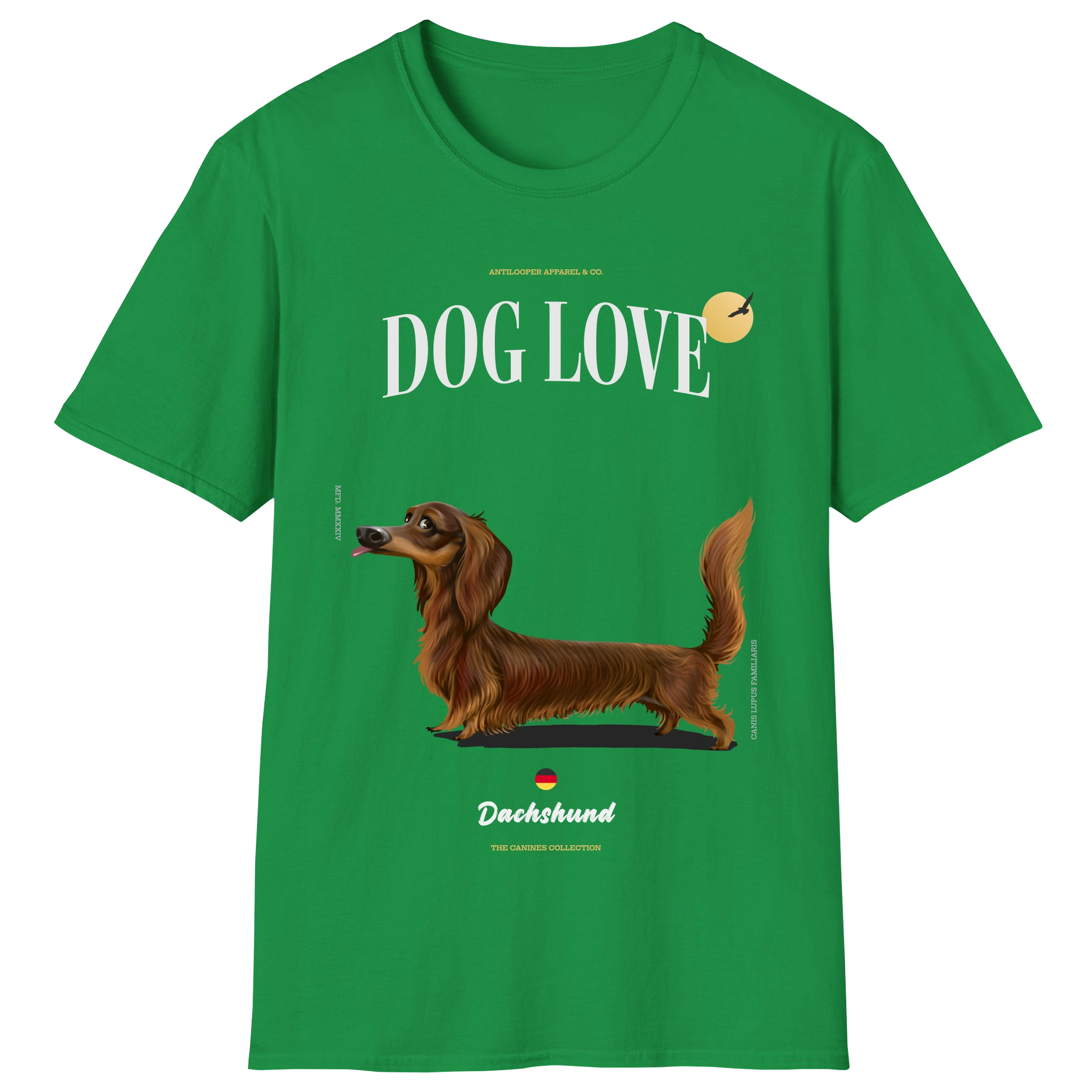 flatlay-canines-dachshund-brown-long_haired-irish_green