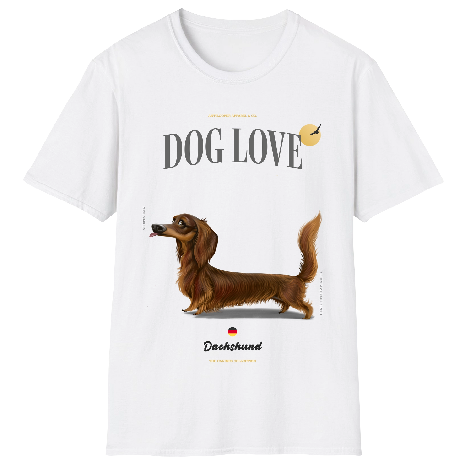 flatlay-canines-dachshund-brown-long_haired-white