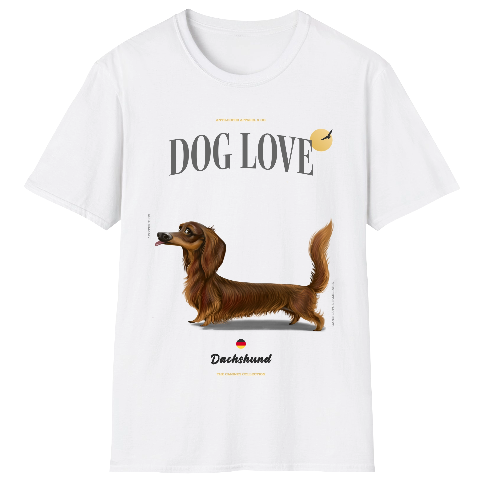 flatlay-canines-dachshund-brown-long_haired-white