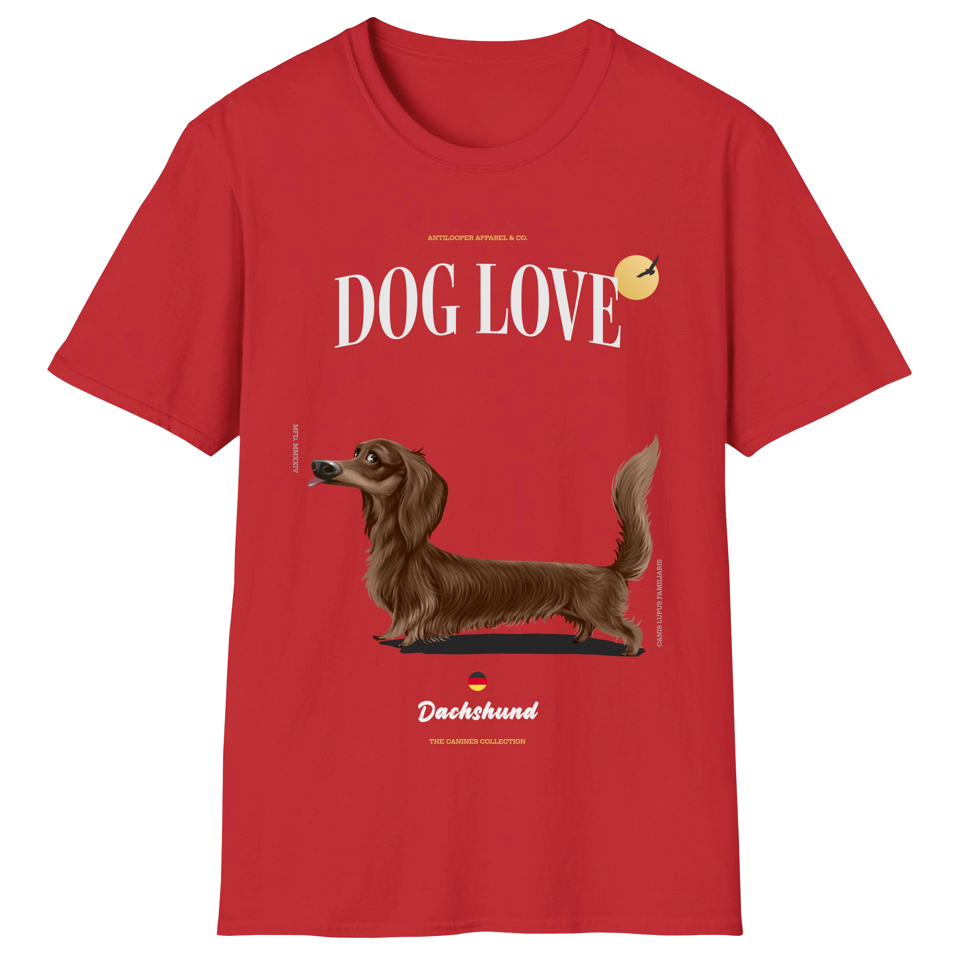 flatlay-canines-dachshund-chocolate-long_haired-red