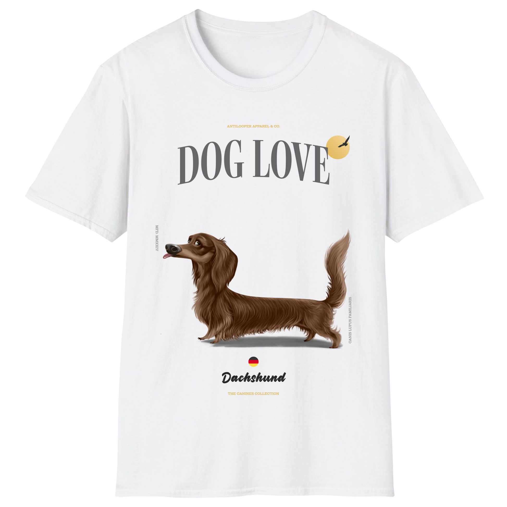 flatlay-canines-dachshund-chocolate-long_haired-white