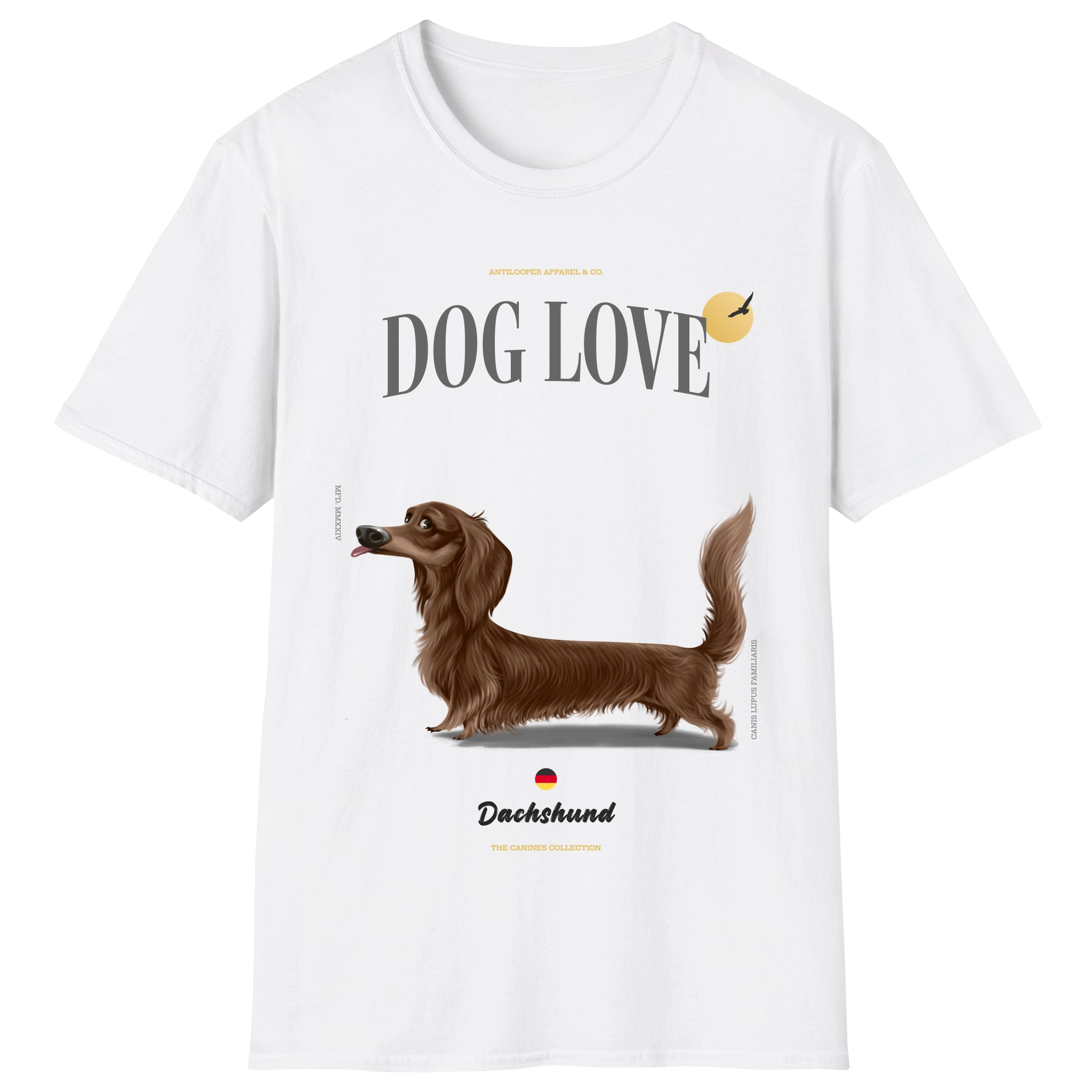 flatlay-canines-dachshund-chocolate-long_haired-white