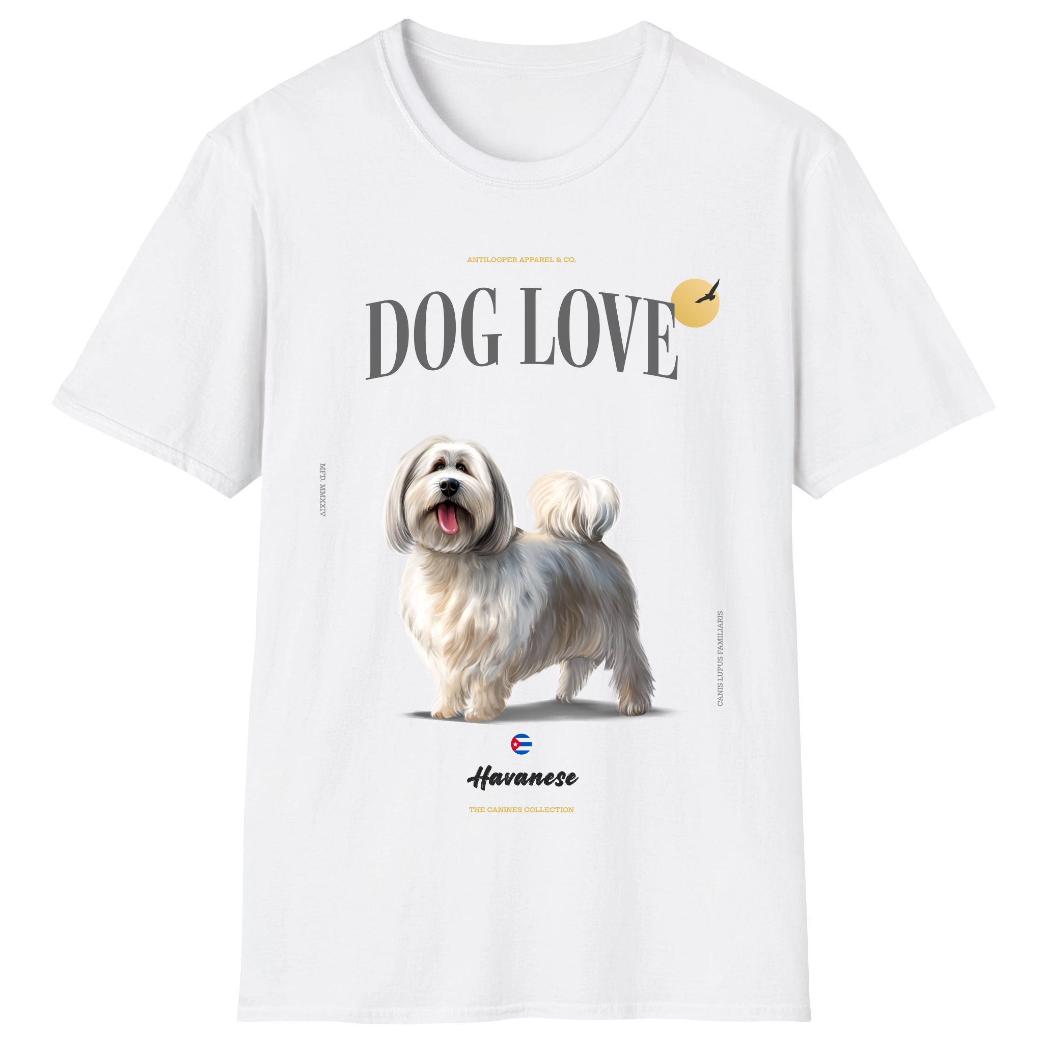 flatlay-canines-havanese-cream-white