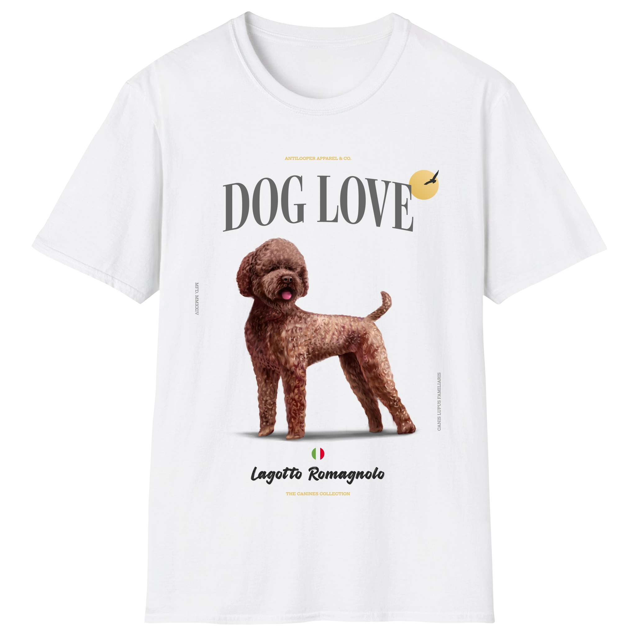 flatlay-canines-lagotto_romagnolo-brown-white