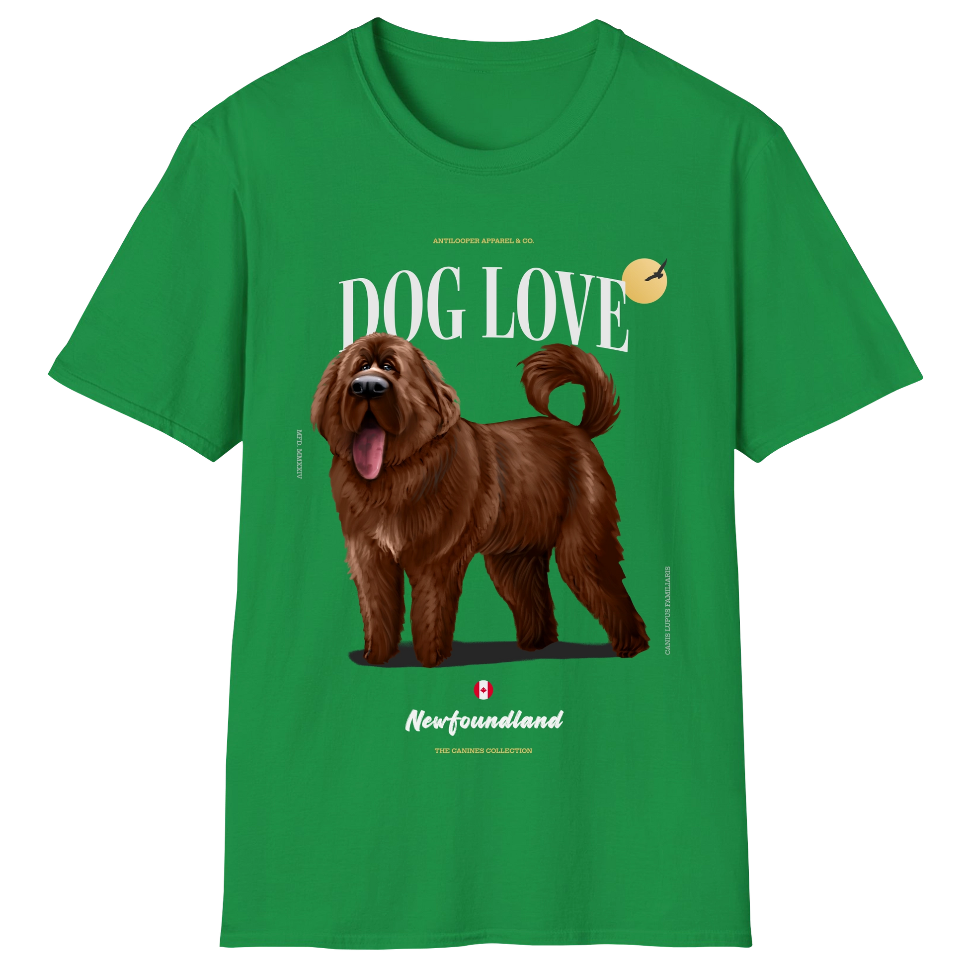 flatlay-canines-newfoundland-brown-irish_green