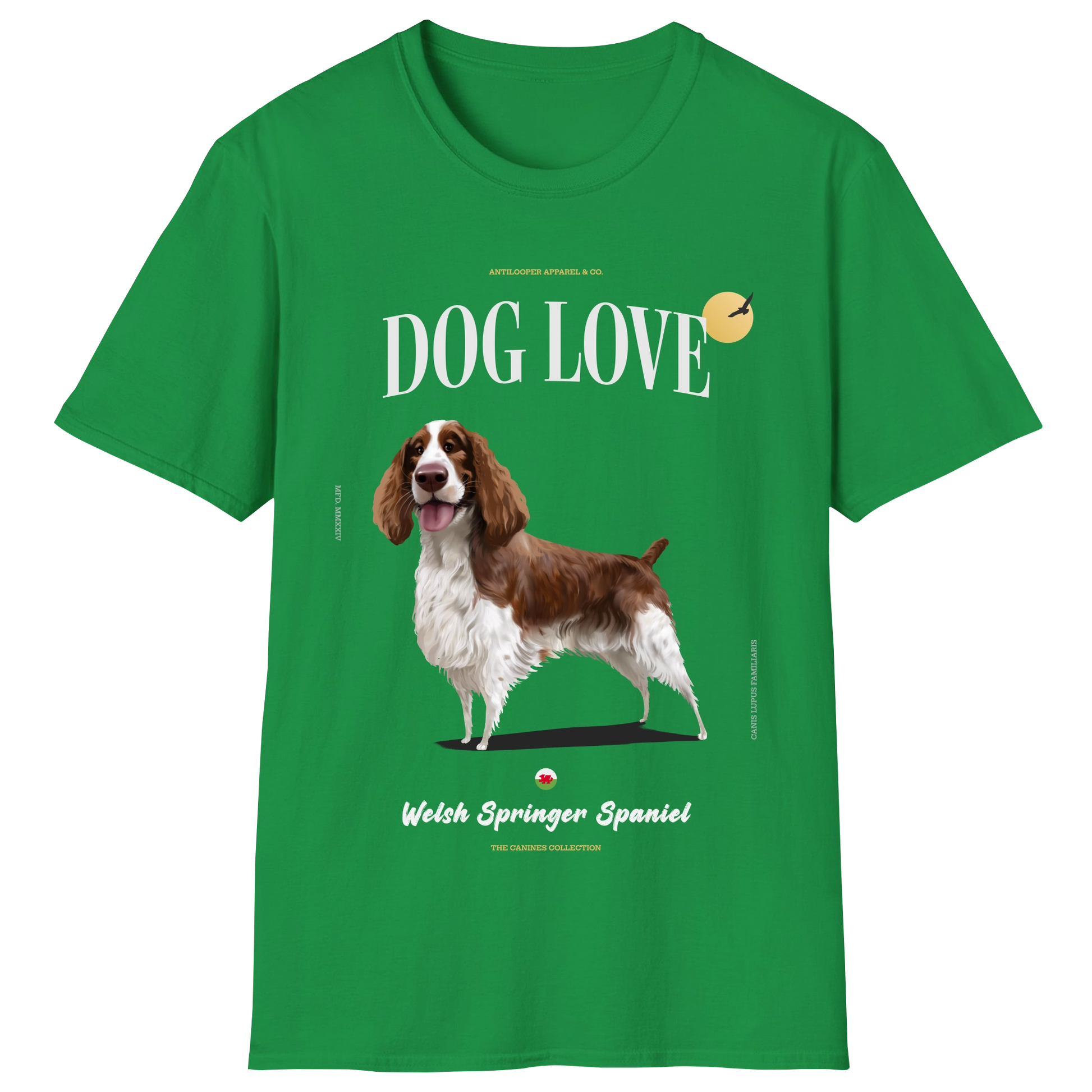 flatlay-canines-welsh_springer_spaniel-red_white-irish_green