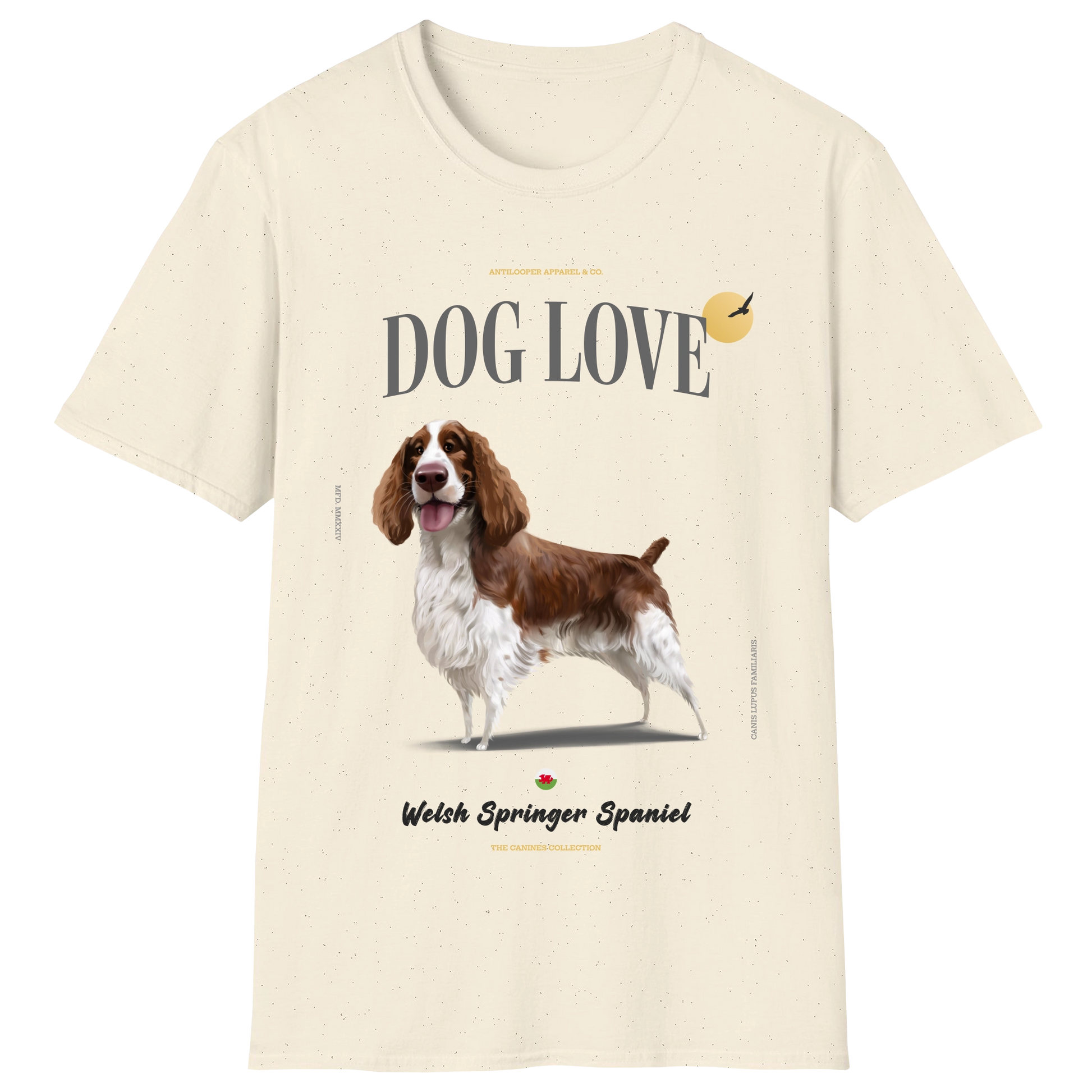 flatlay-canines-welsh_springer_spaniel-red_white-natural