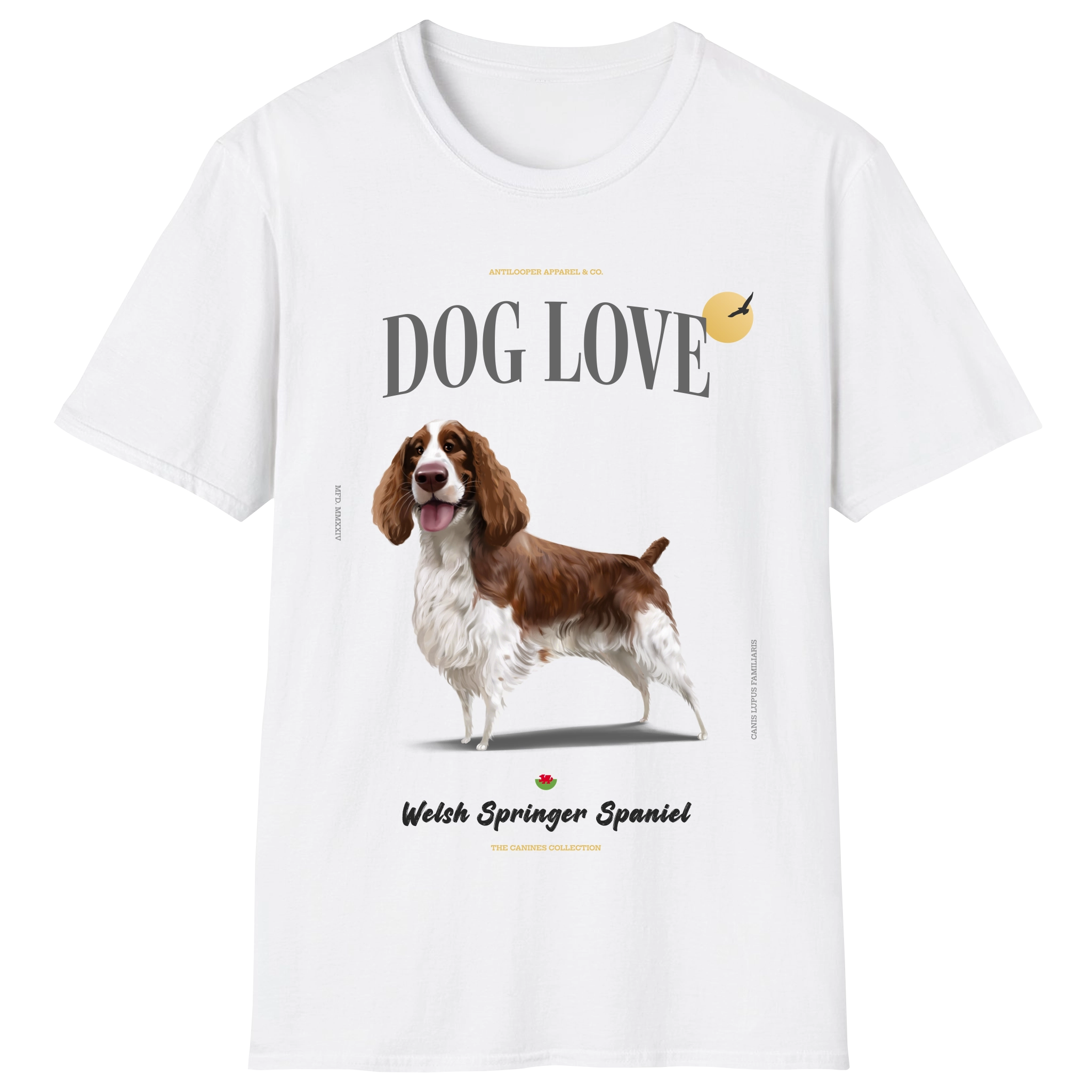 flatlay-canines-welsh_springer_spaniel-red_white-white