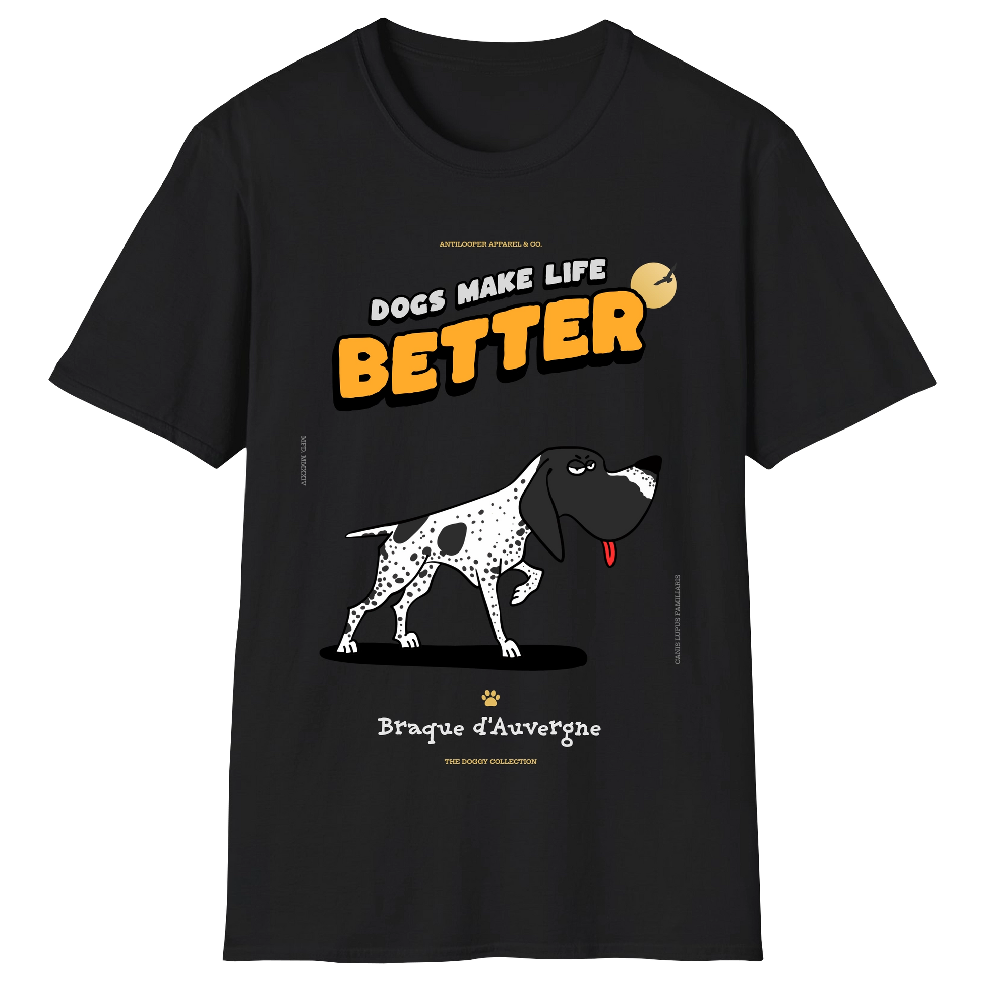 flatlay-doggy-auvergne_pointer-black