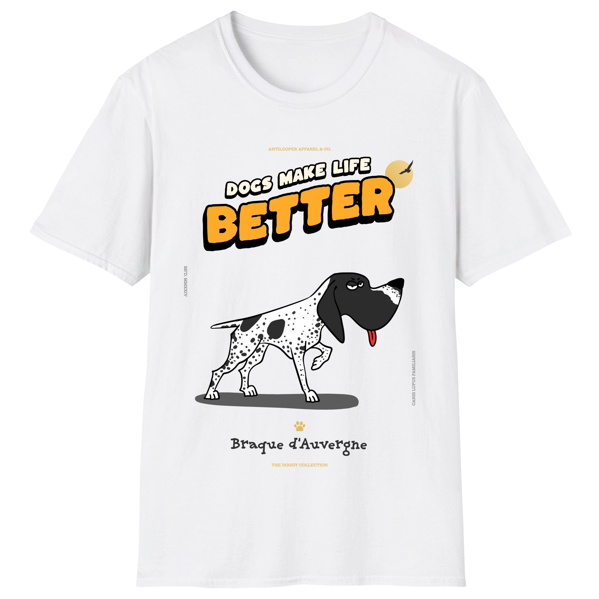 flatlay-doggy-auvergne_pointer-white