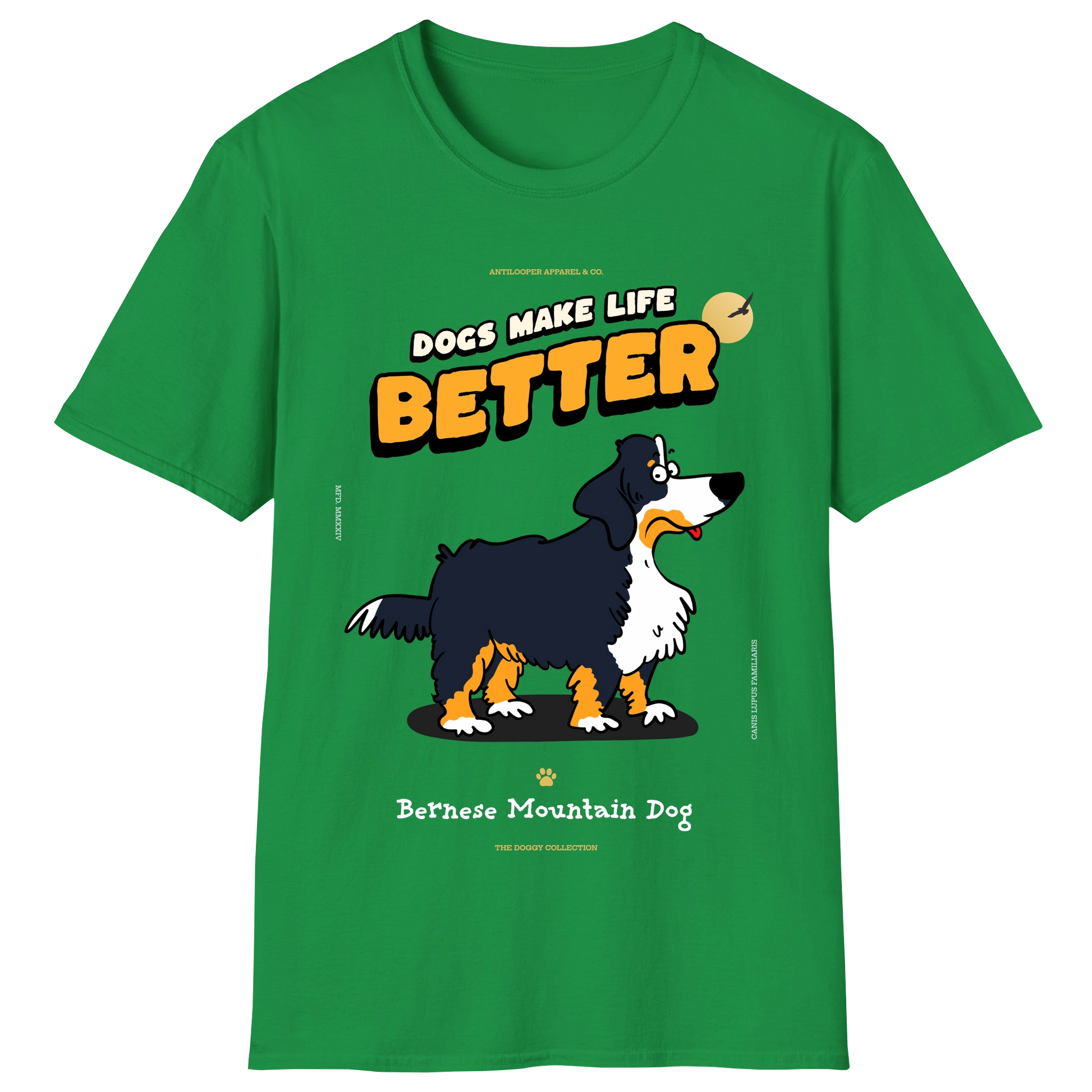 flatlay-doggy-bernese_mountain_dog-irish_green