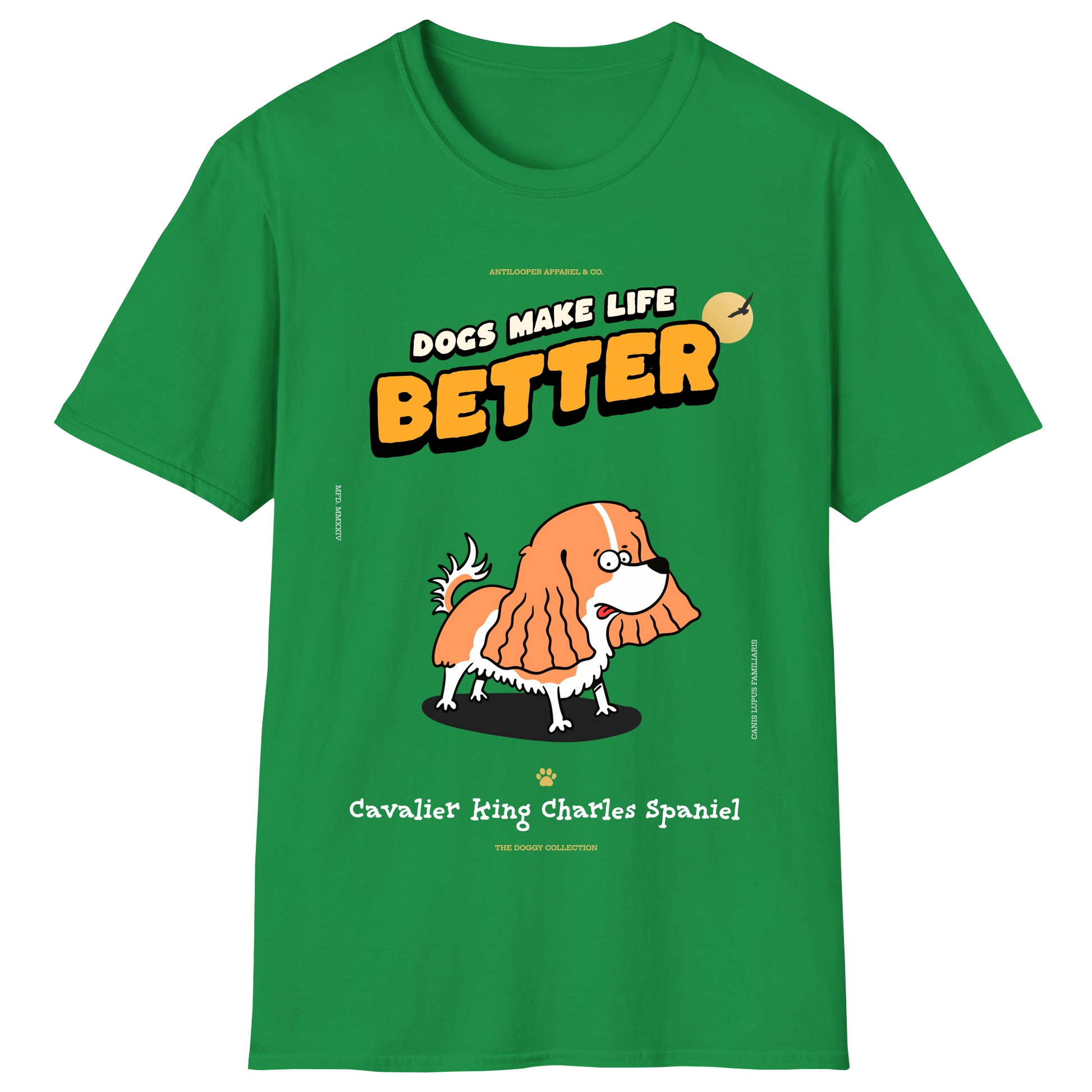 flatlay-doggy-cavalier_king_charles_spaniel-irish_green