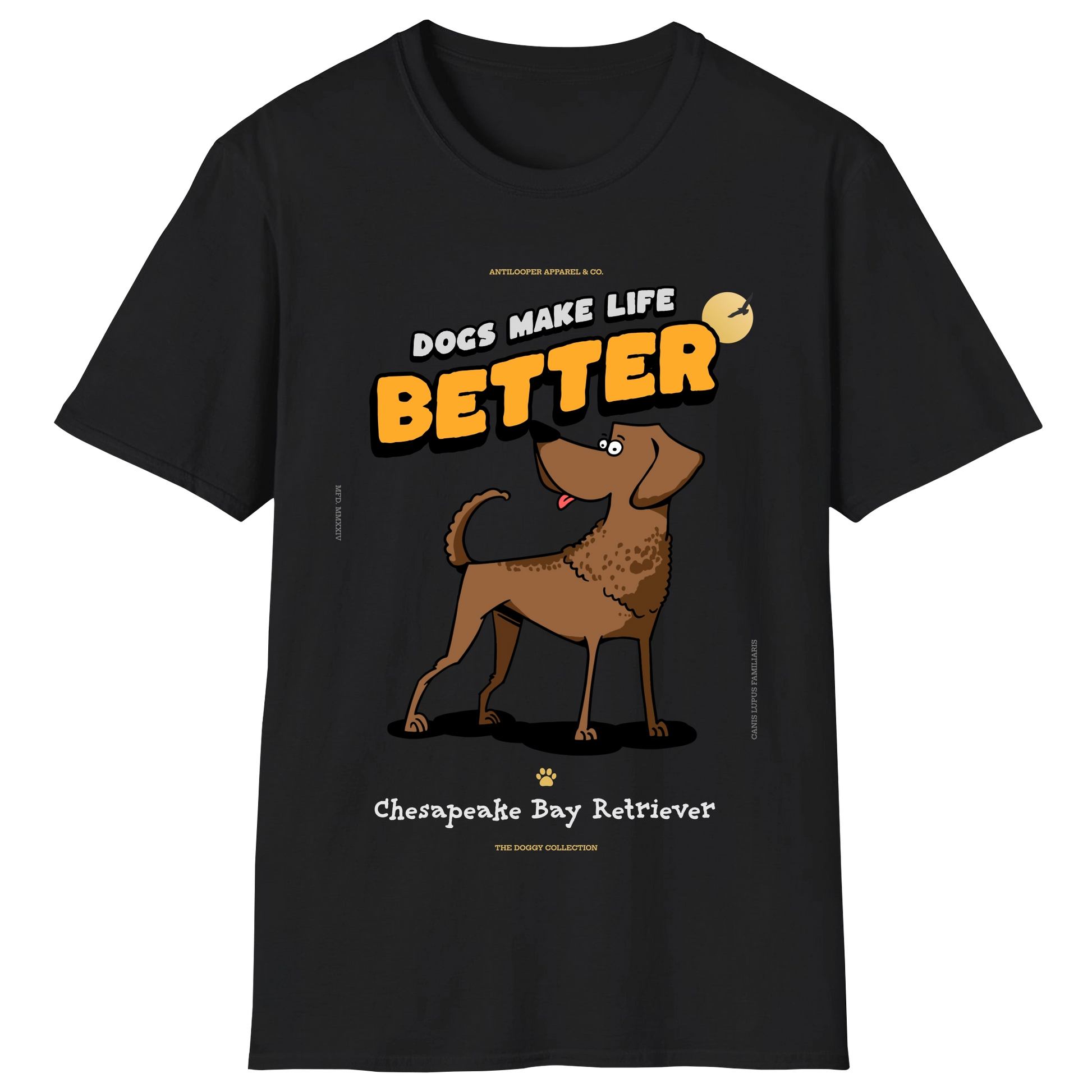 flatlay-doggy-chesapeake_bay_retriever-black