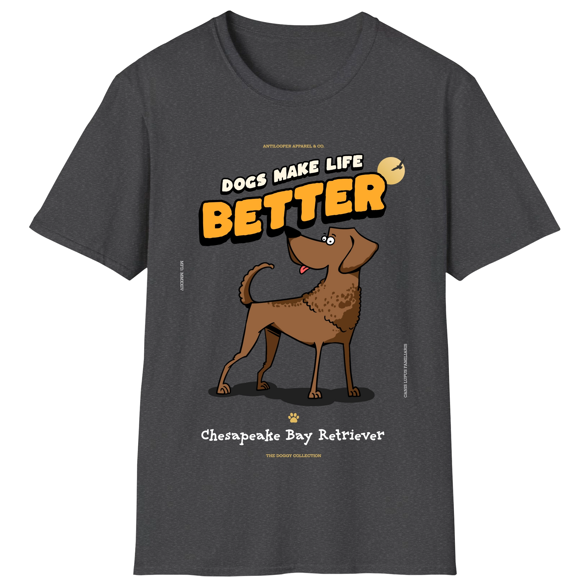 flatlay-doggy-chesapeake_bay_retriever-dark_heather