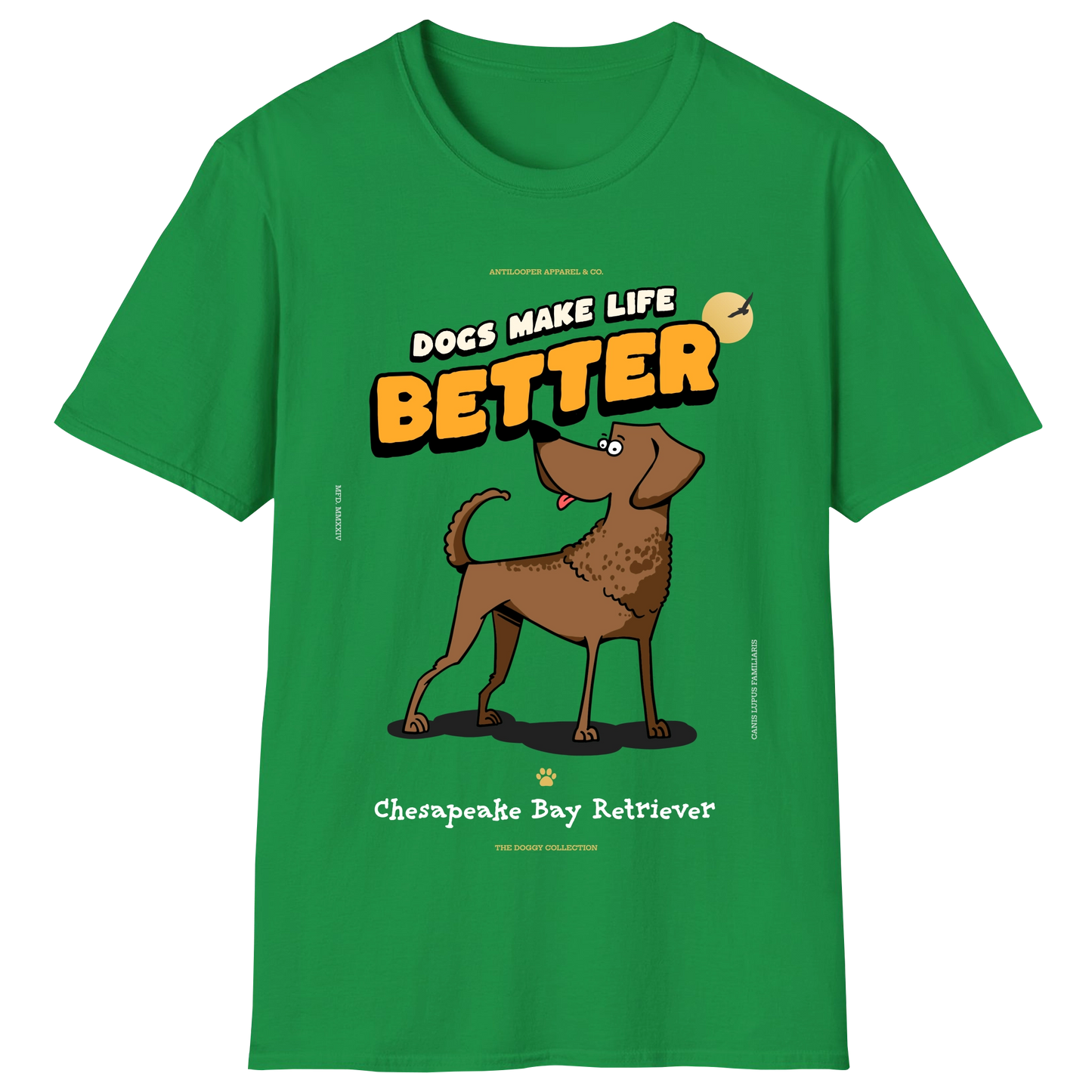 flatlay-doggy-chesapeake_bay_retriever-irish_green