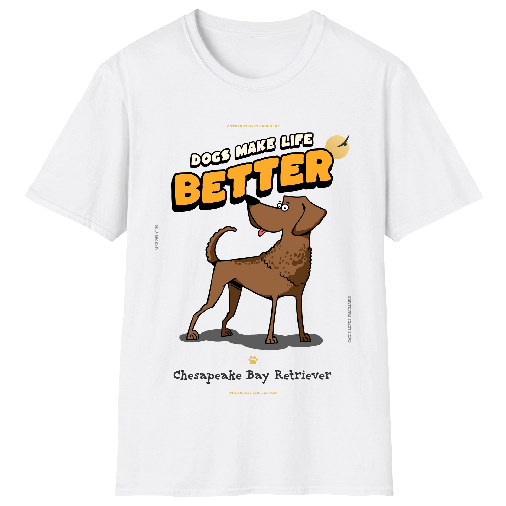 flatlay-doggy-chesapeake_bay_retriever-white