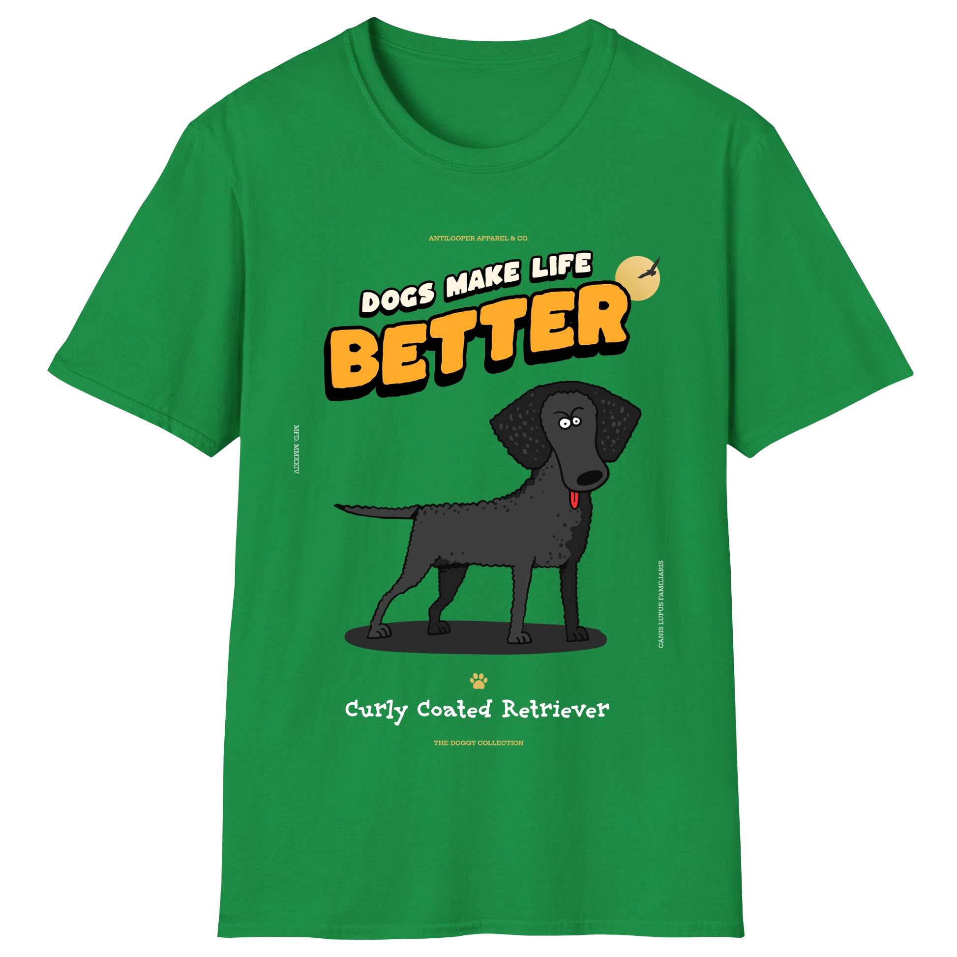 flatlay-doggy-curly_coated_retriever-irish_green