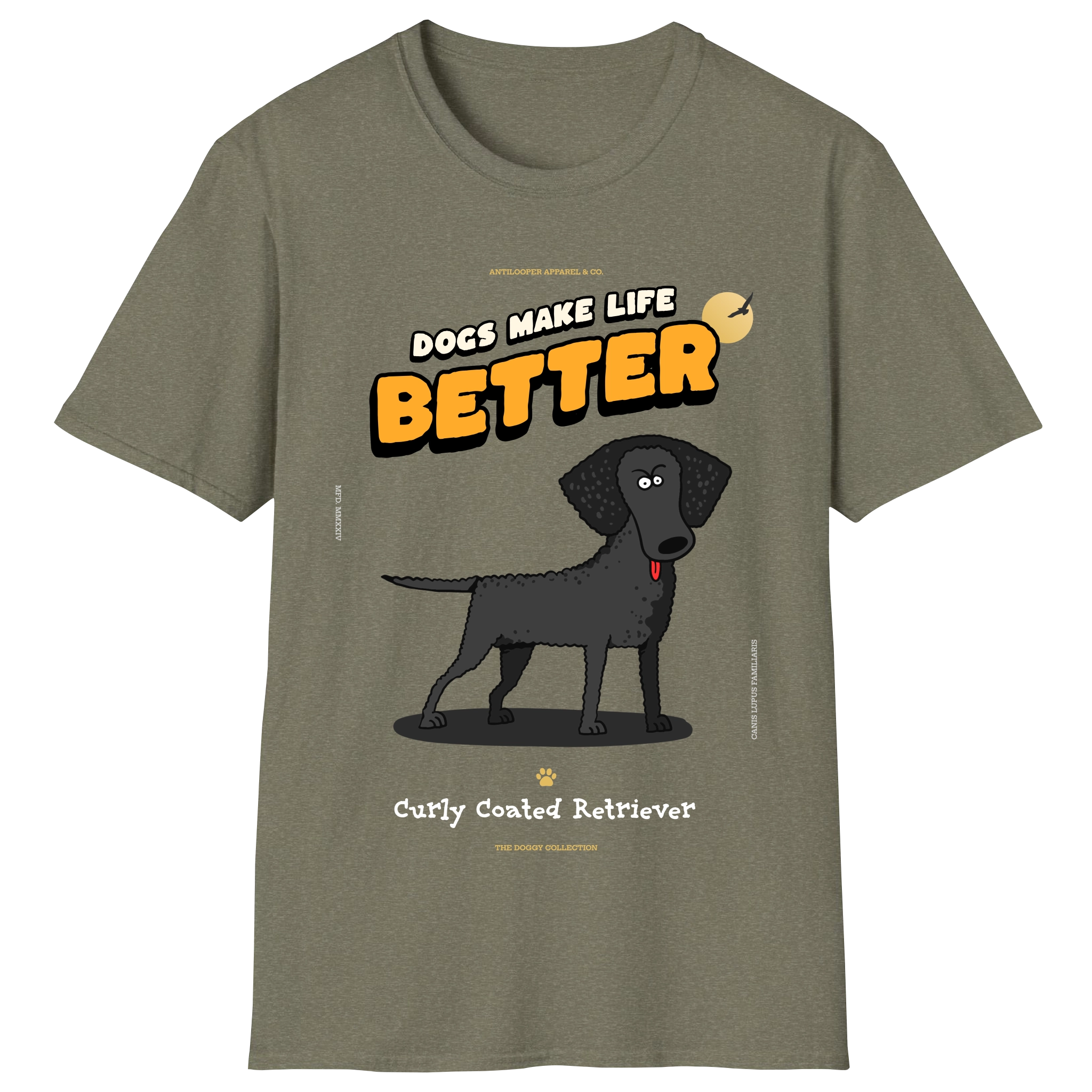 flatlay-doggy-curly_coated_retriever-military_green