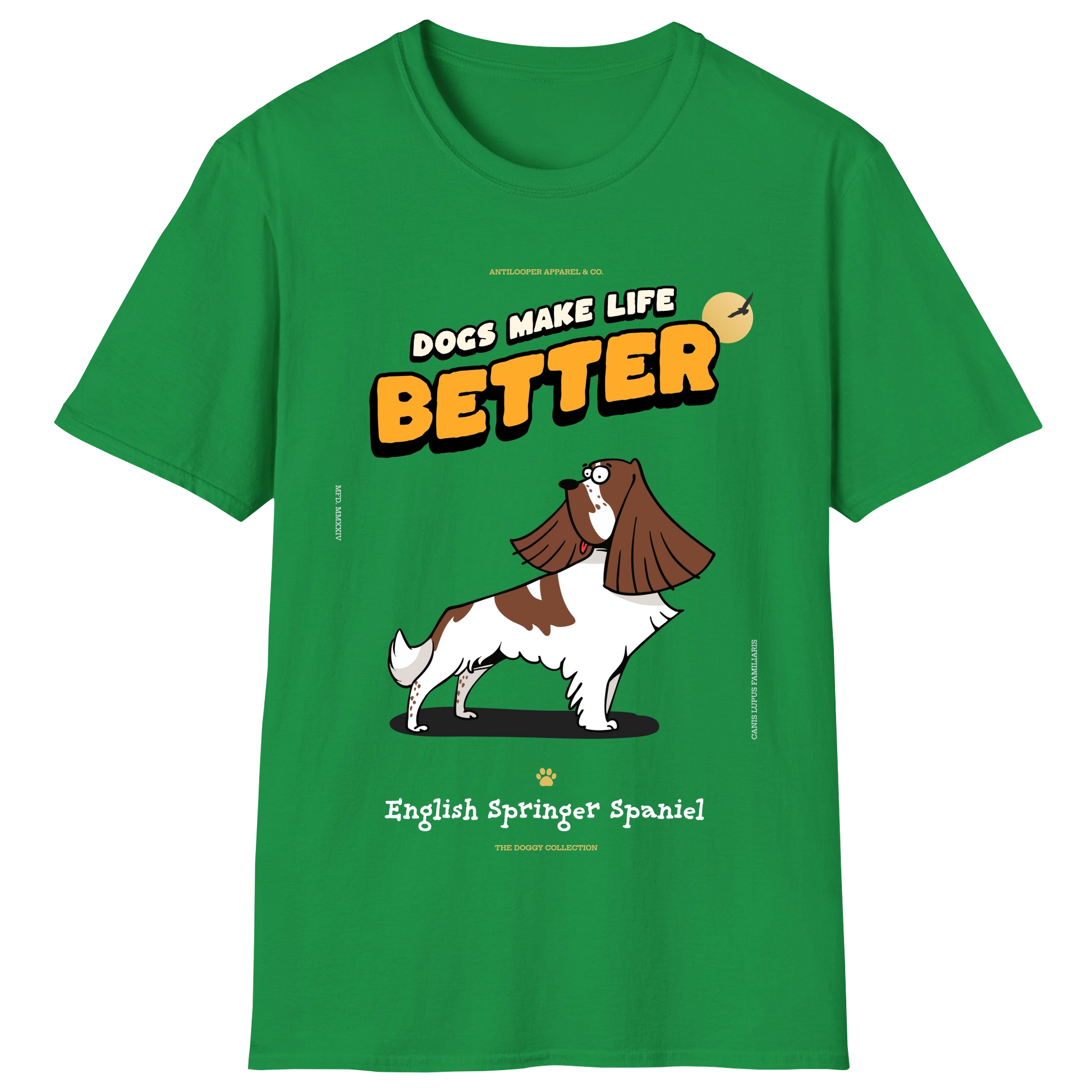 flatlay-doggy-english_springer_spaniel-irish_green