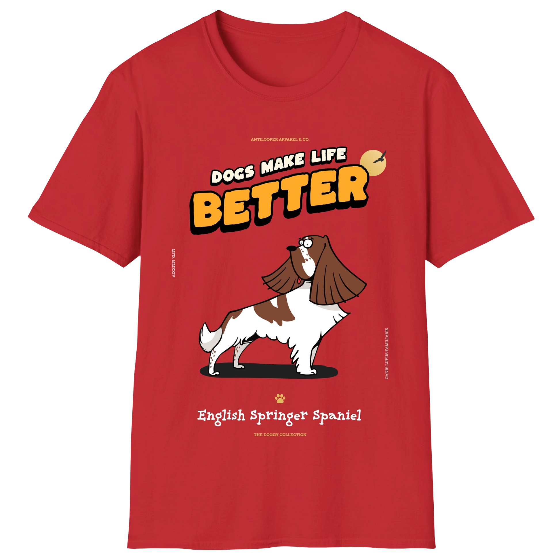 flatlay-doggy-english_springer_spaniel-red