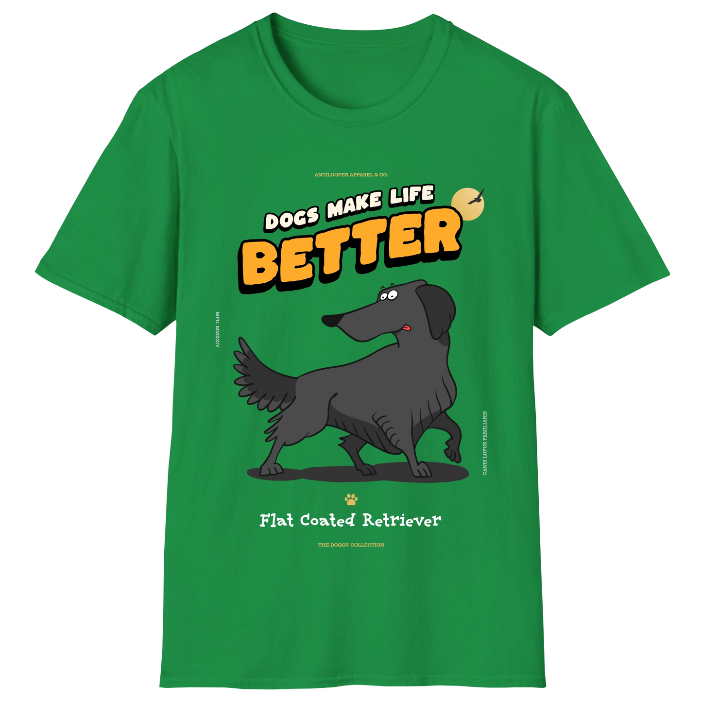 flatlay-doggy-flat_coated_retriever-irish_green