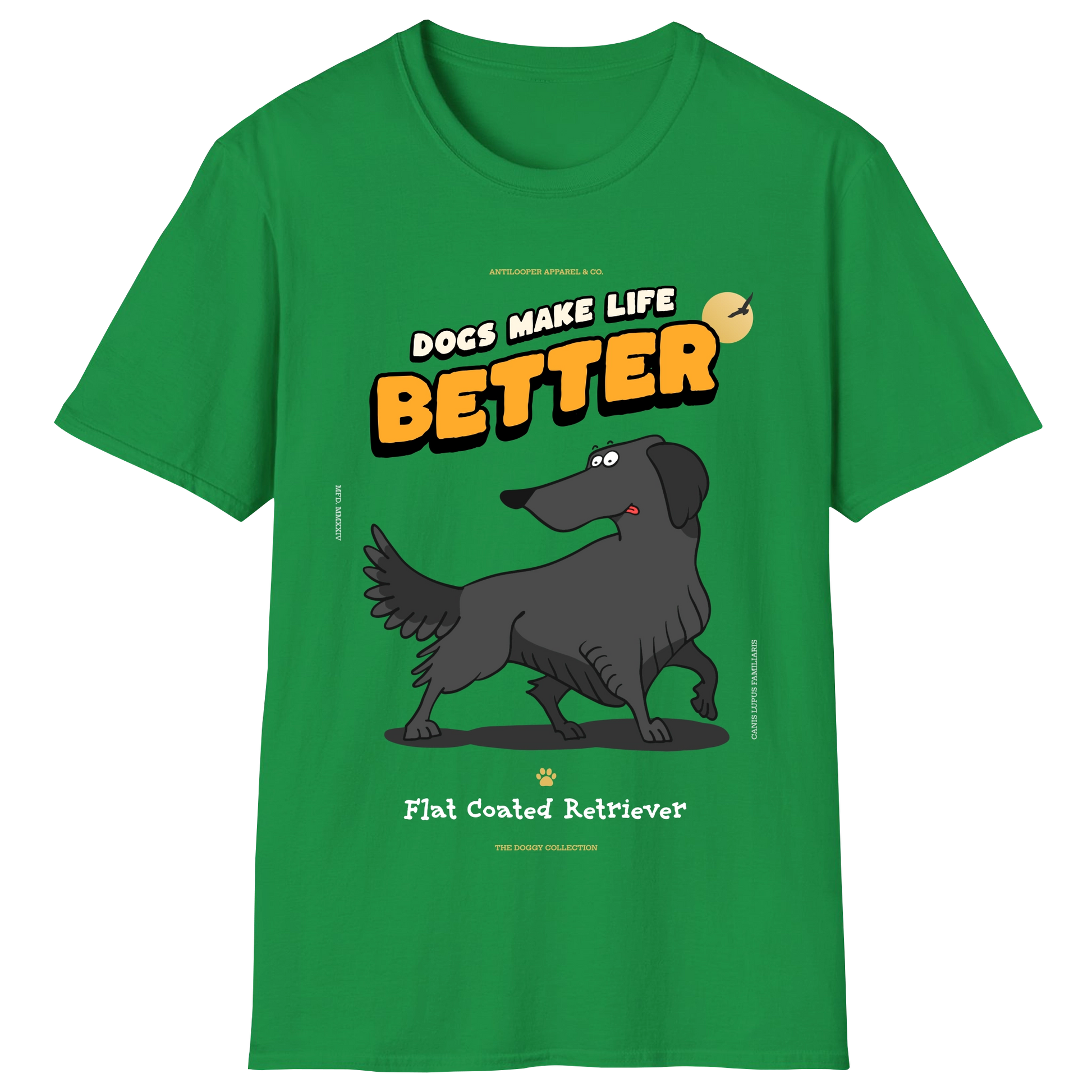 flatlay-doggy-flat_coated_retriever-irish_green