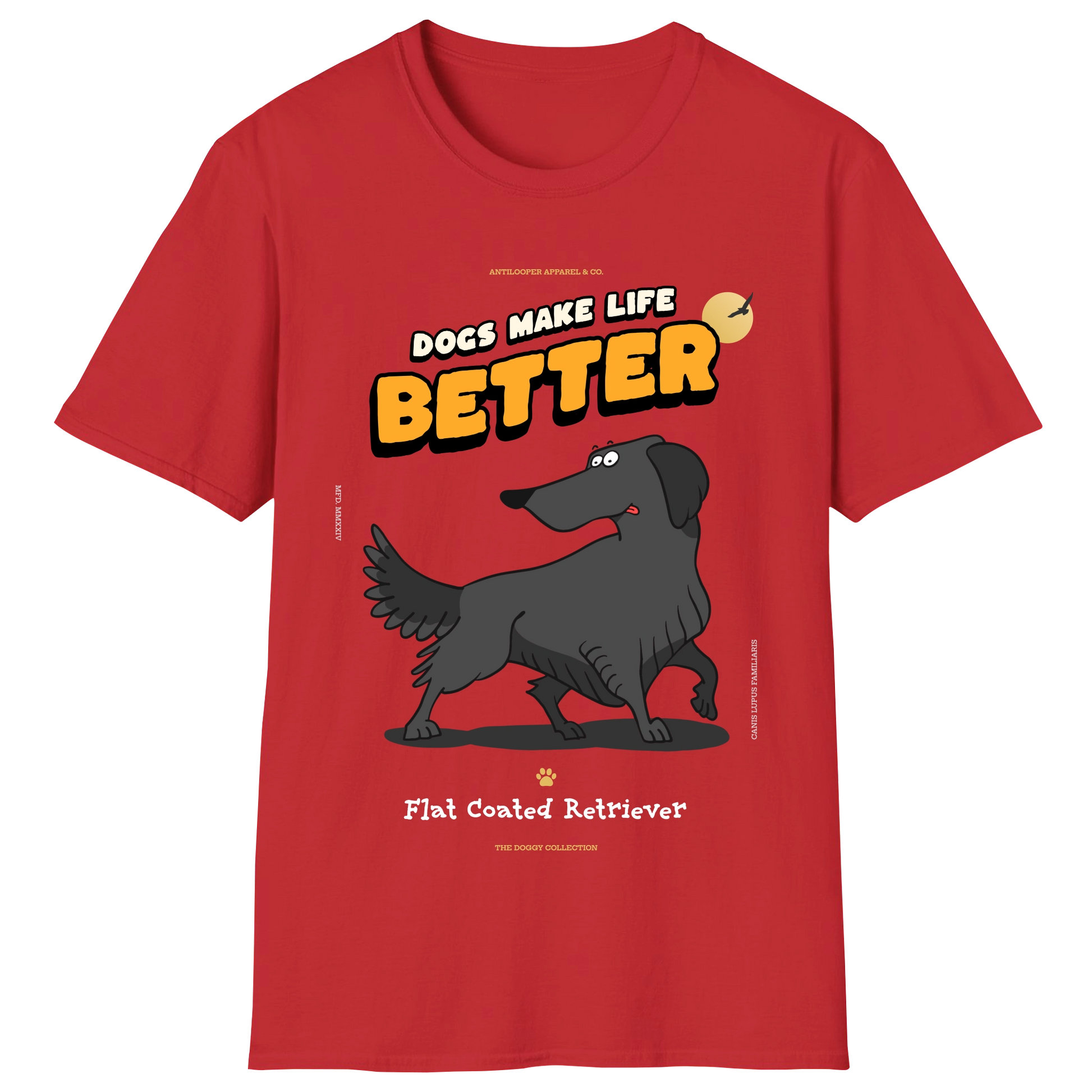 flatlay-doggy-flat_coated_retriever-red