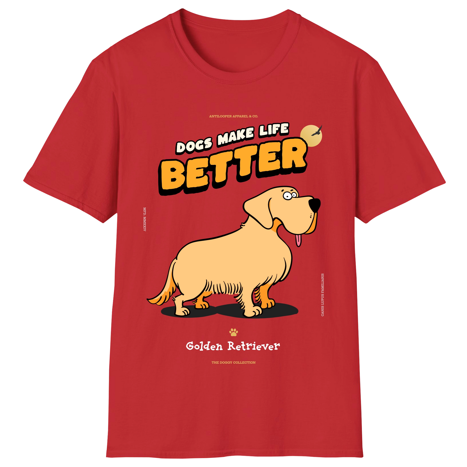 flatlay-doggy-golden_retriever-red